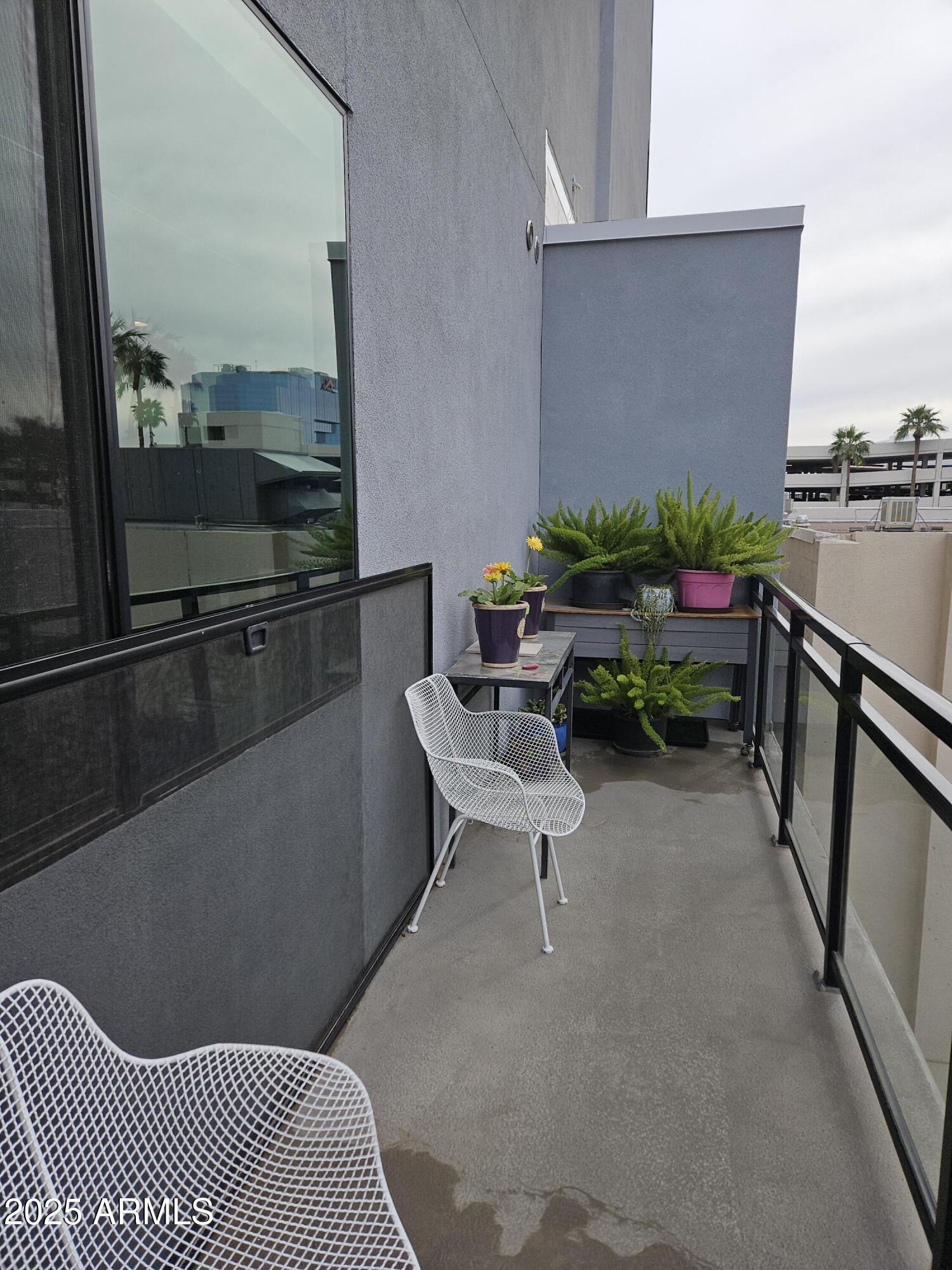 Photo #14