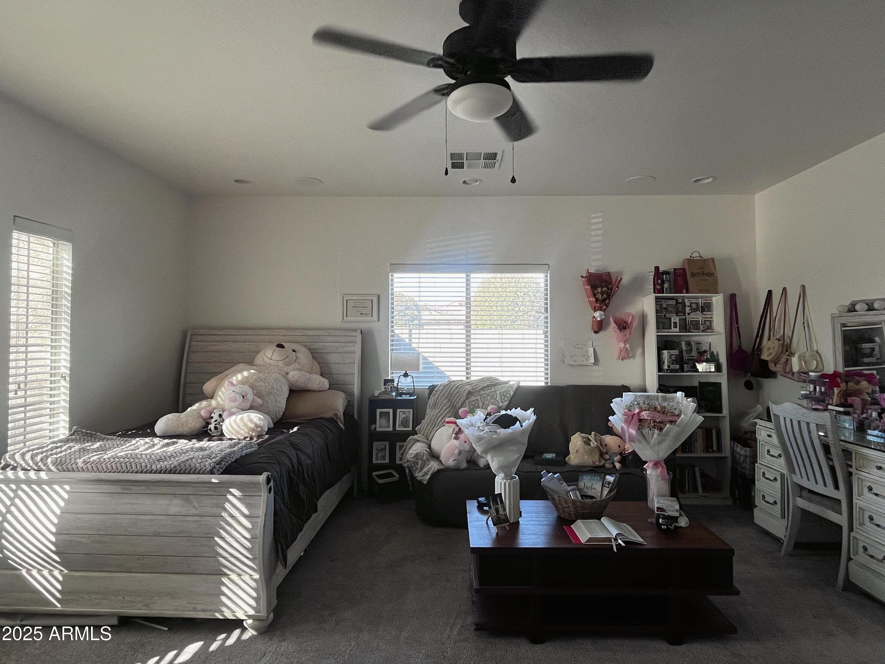 Photo #15