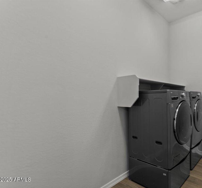 Photo #42