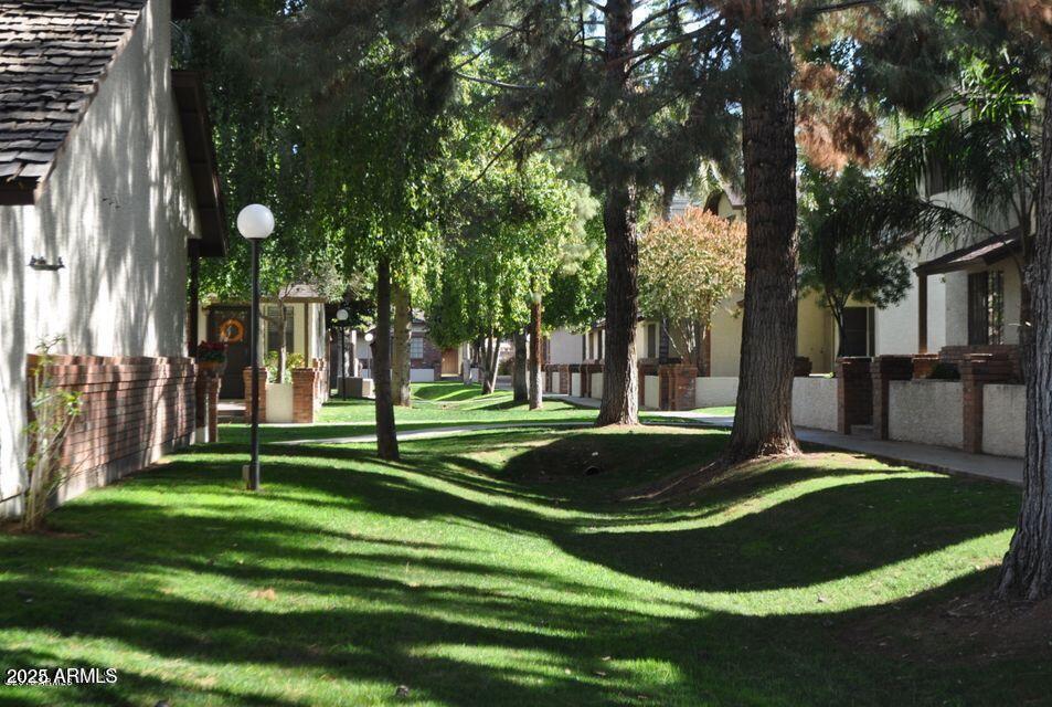 Photo #36