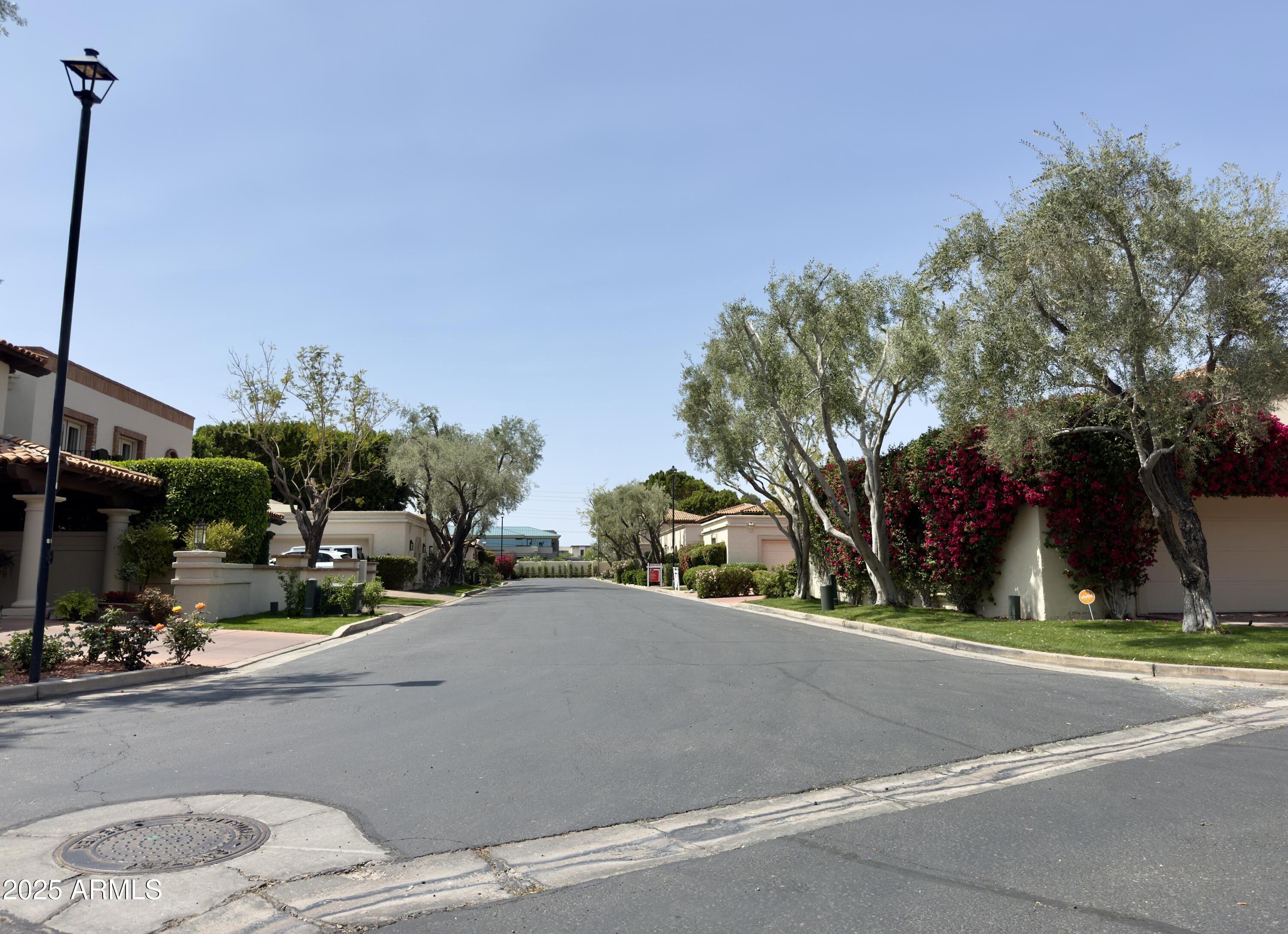 Photo #62