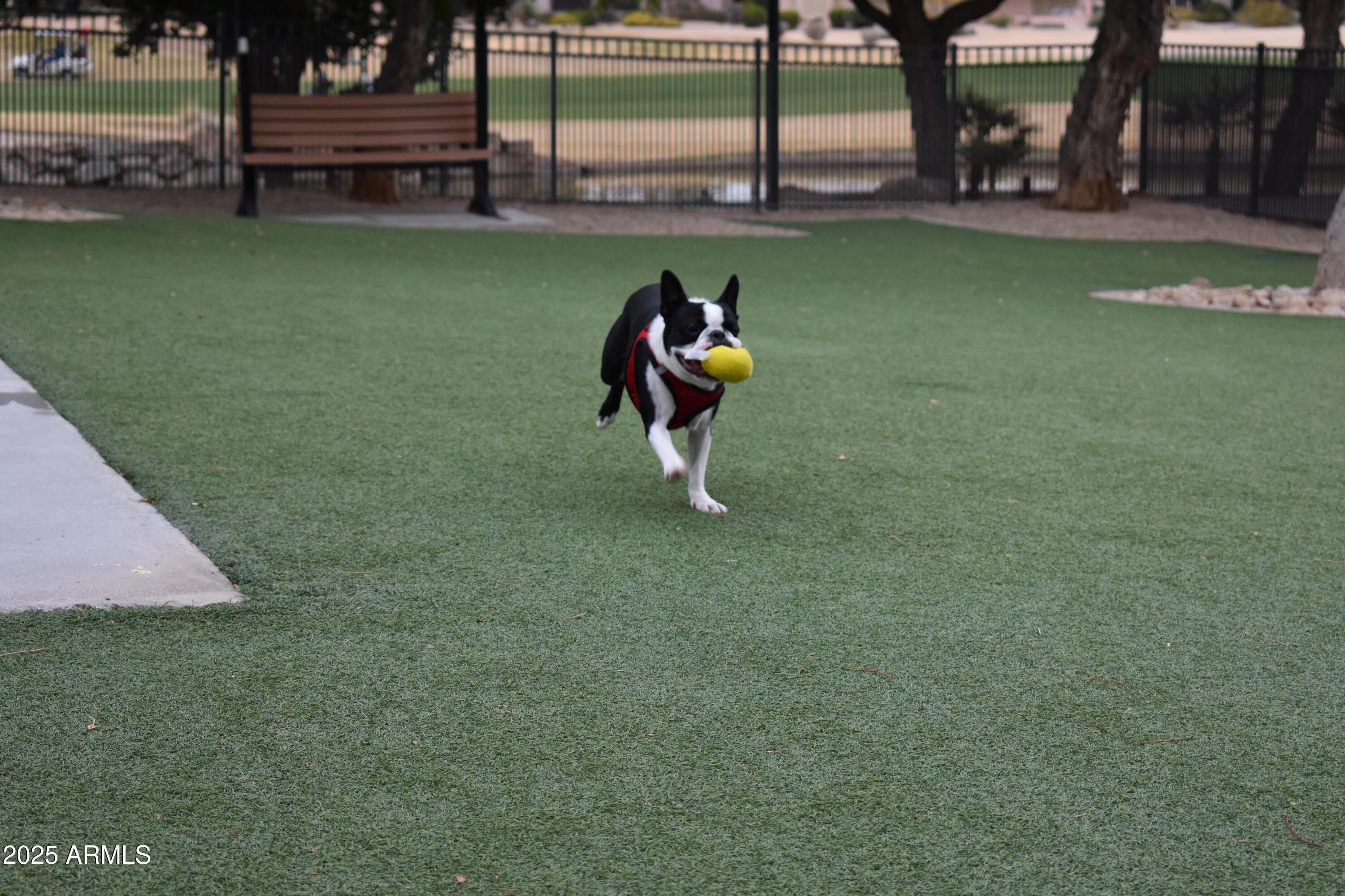 Photo #47