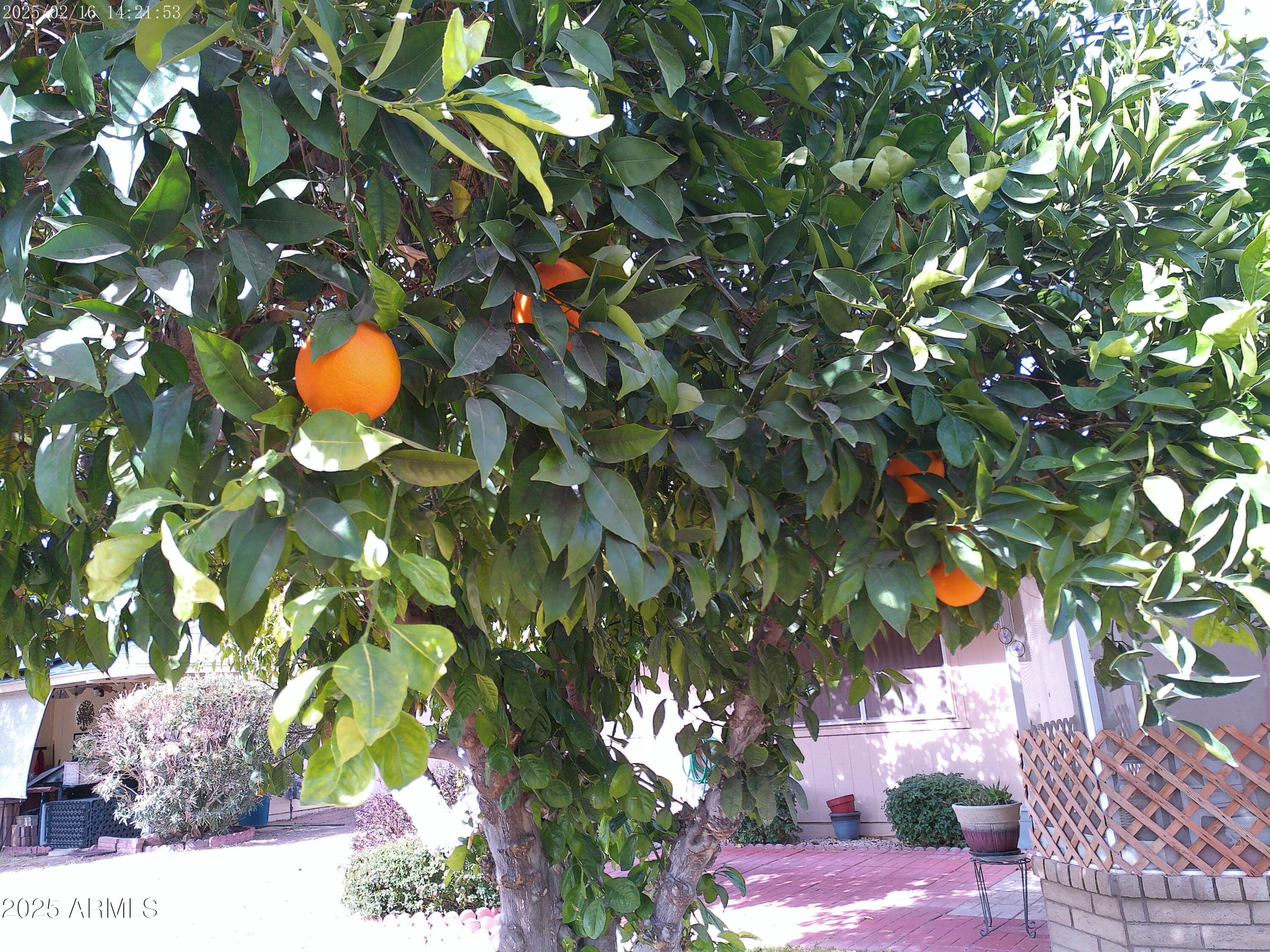 Photo #14