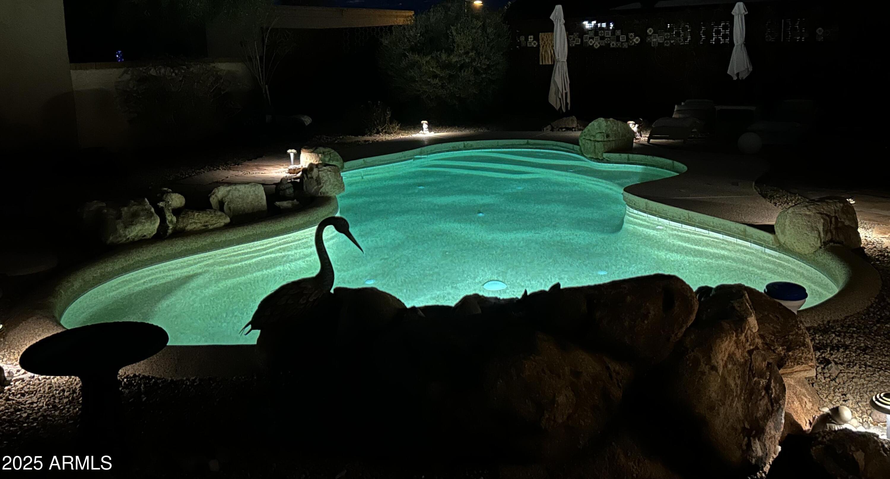 Photo #16
