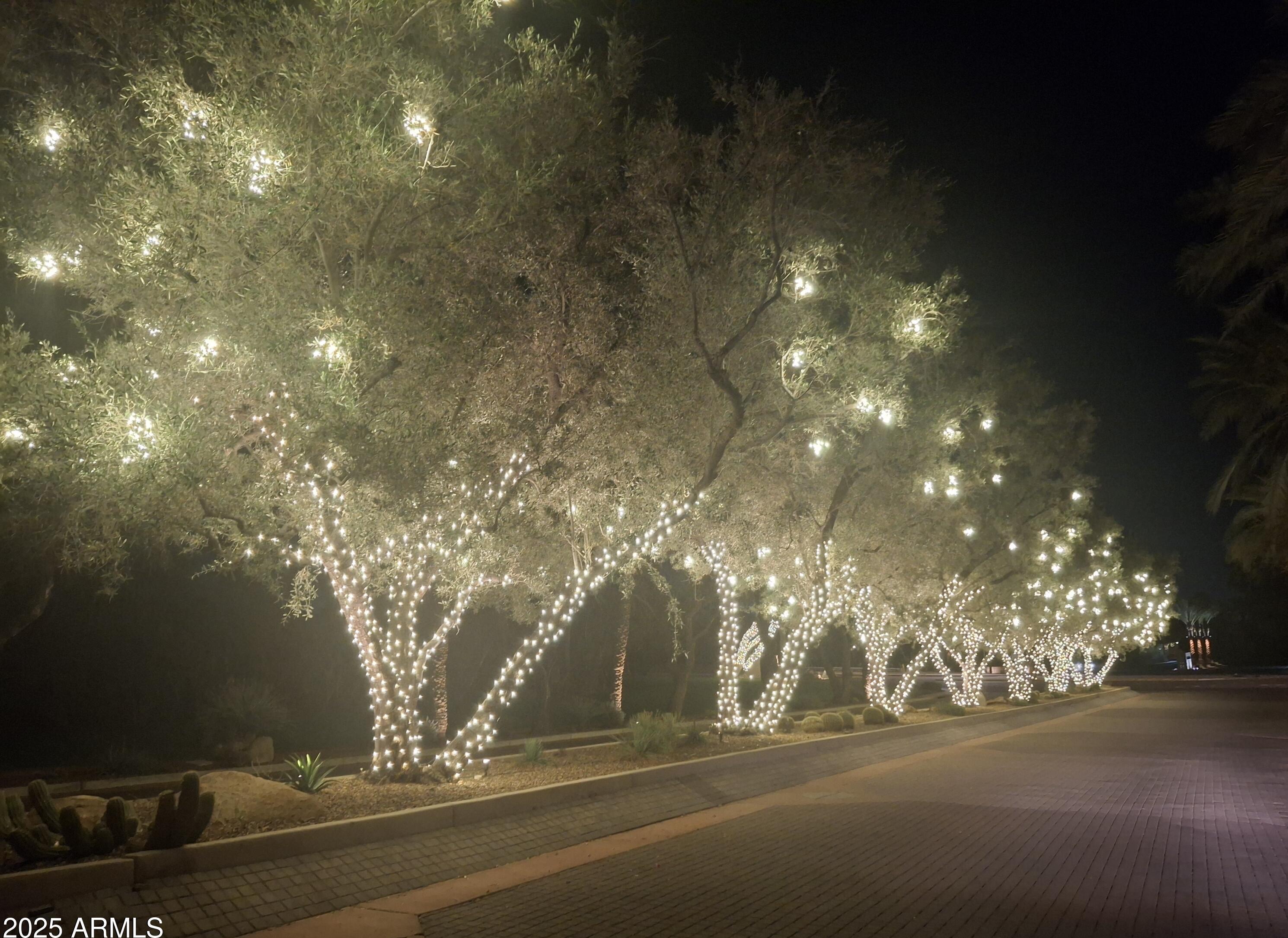 Photo #53