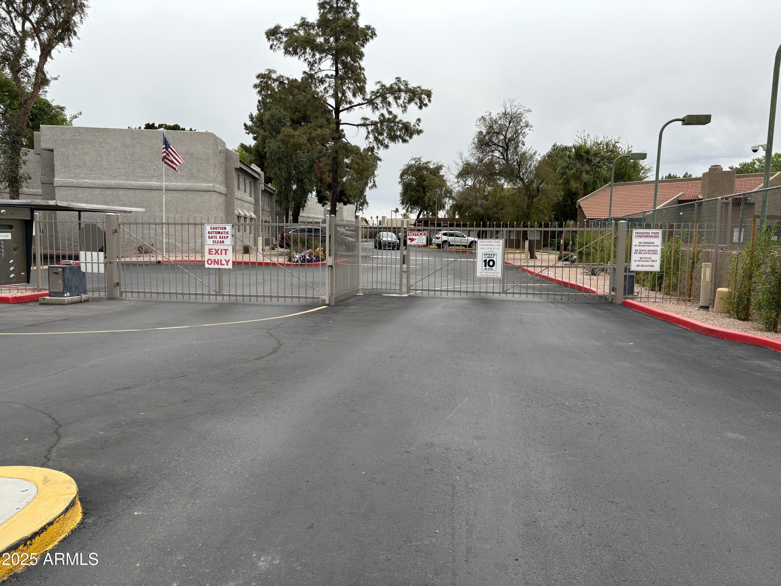 Photo #42