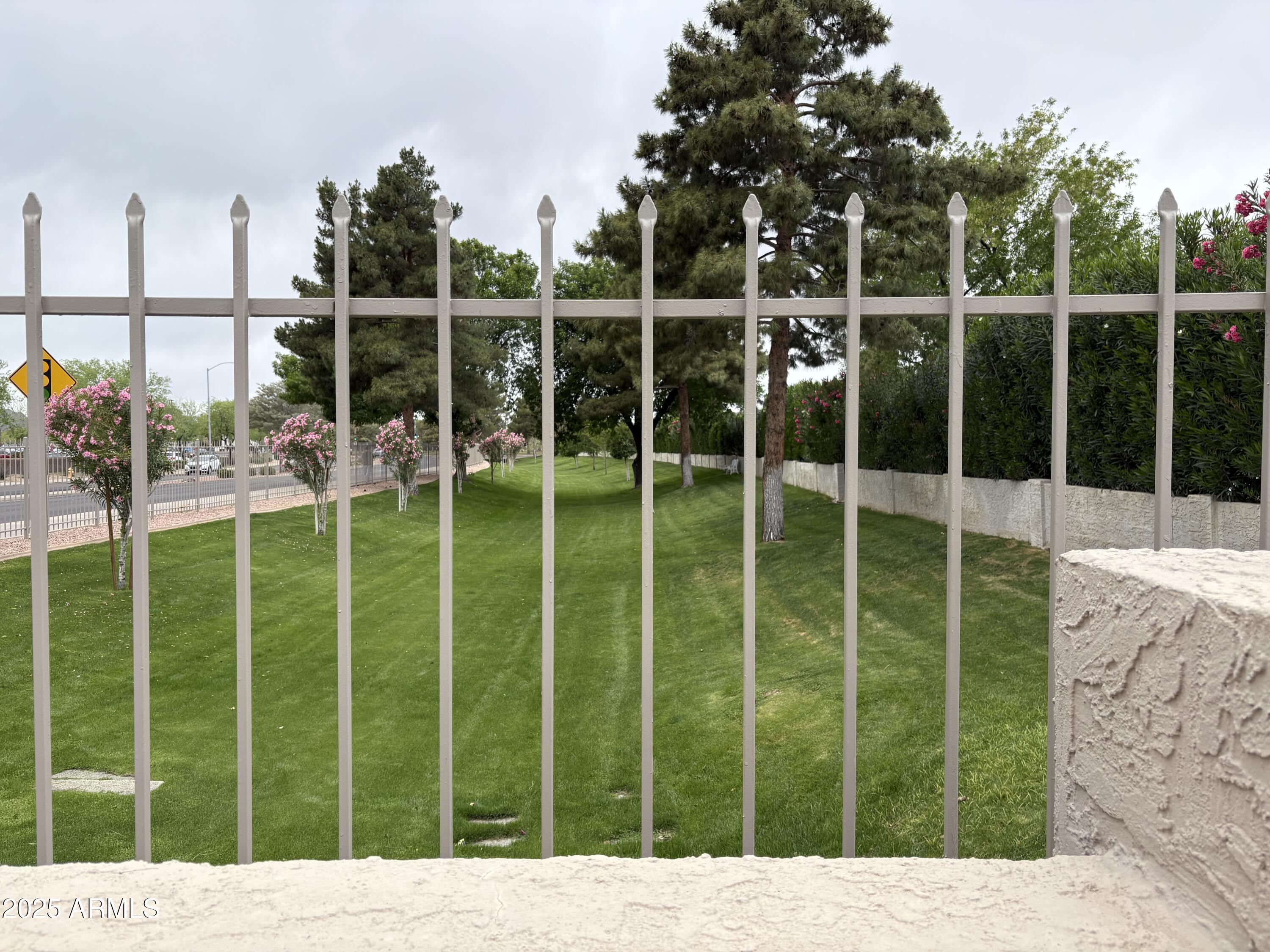 Photo #43