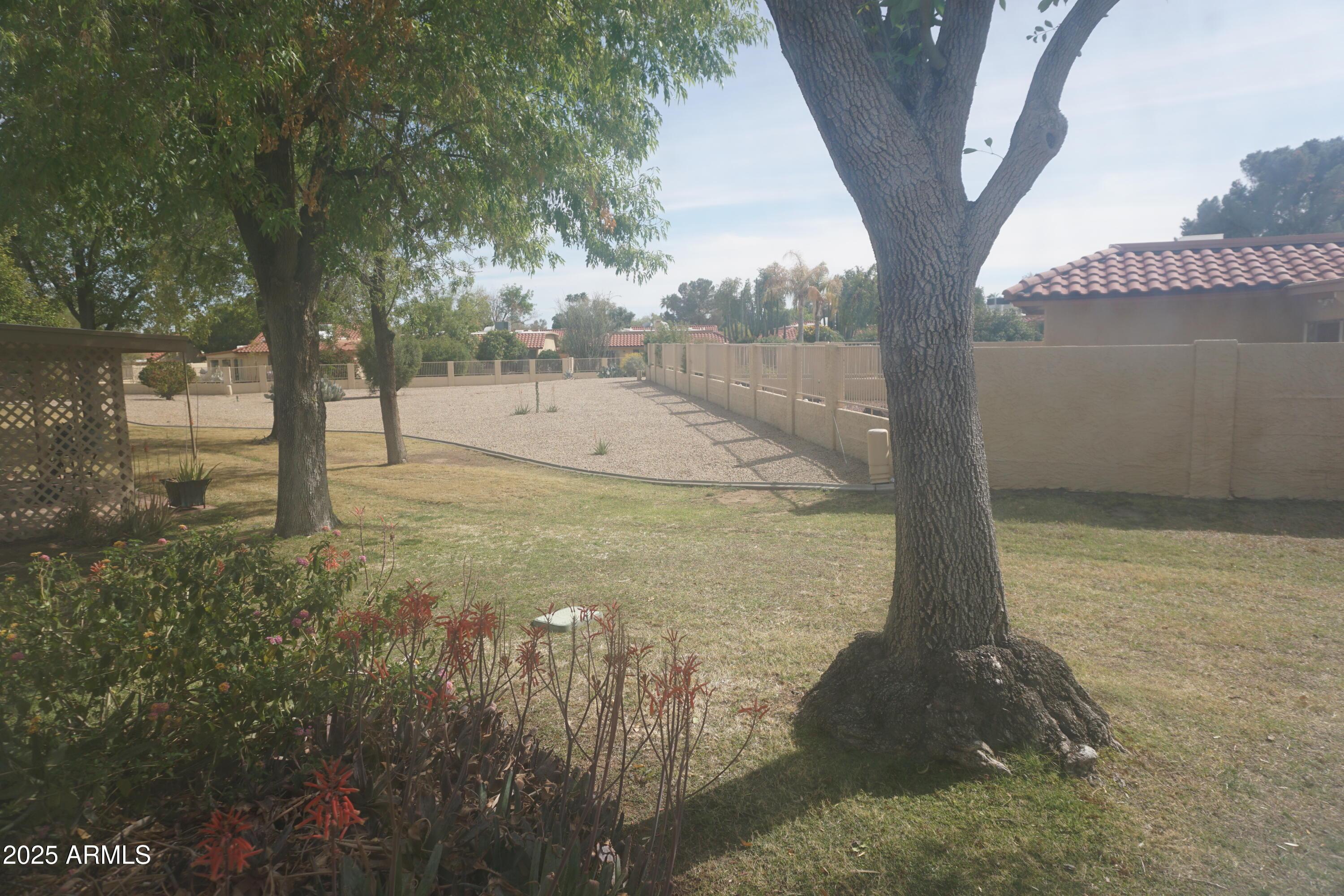Photo #21