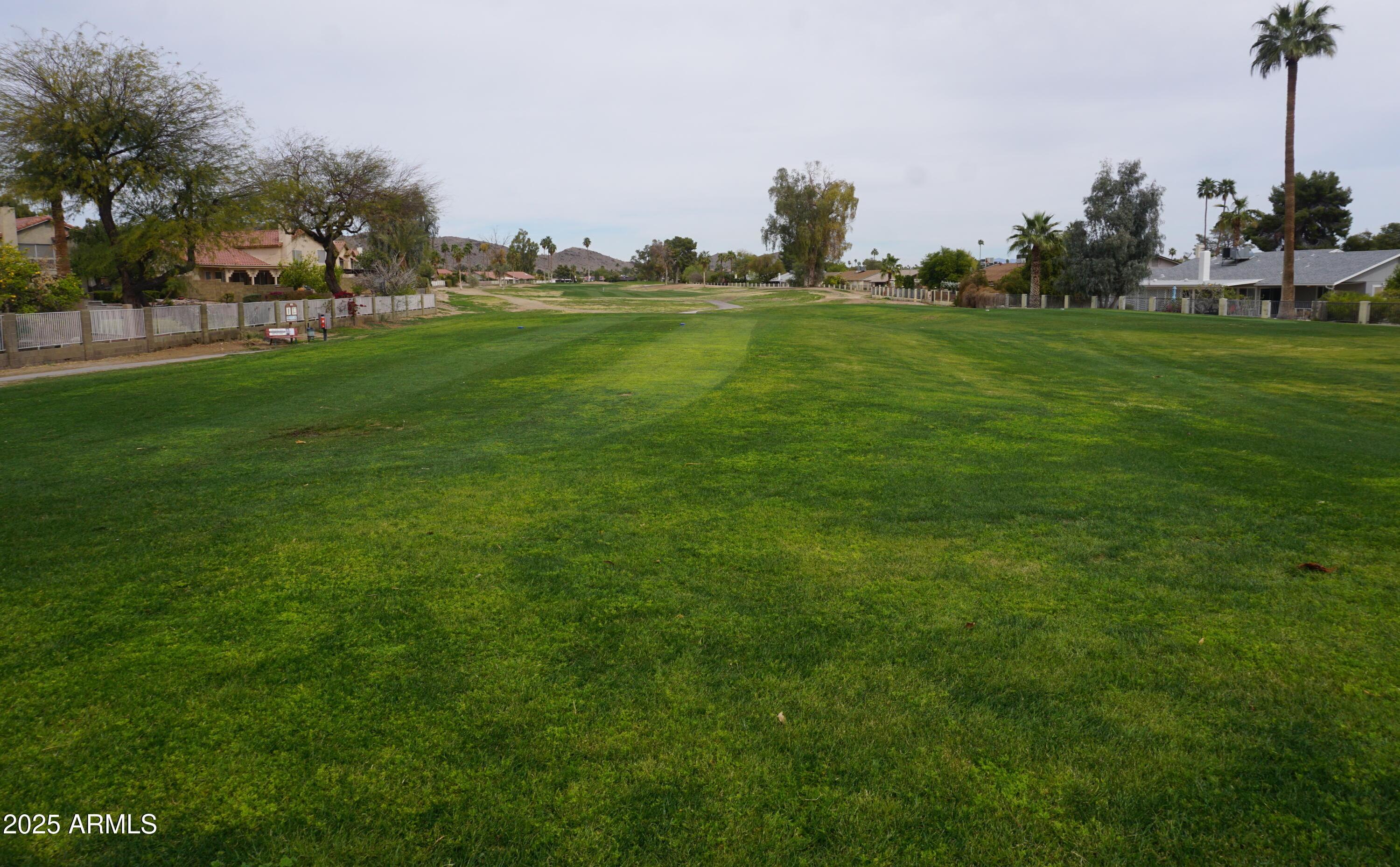 Photo #25