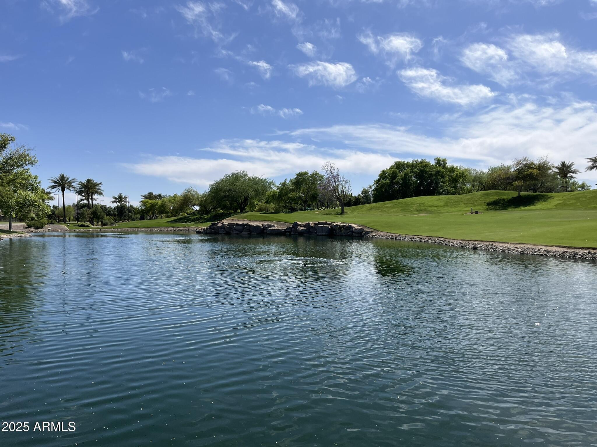Photo #54