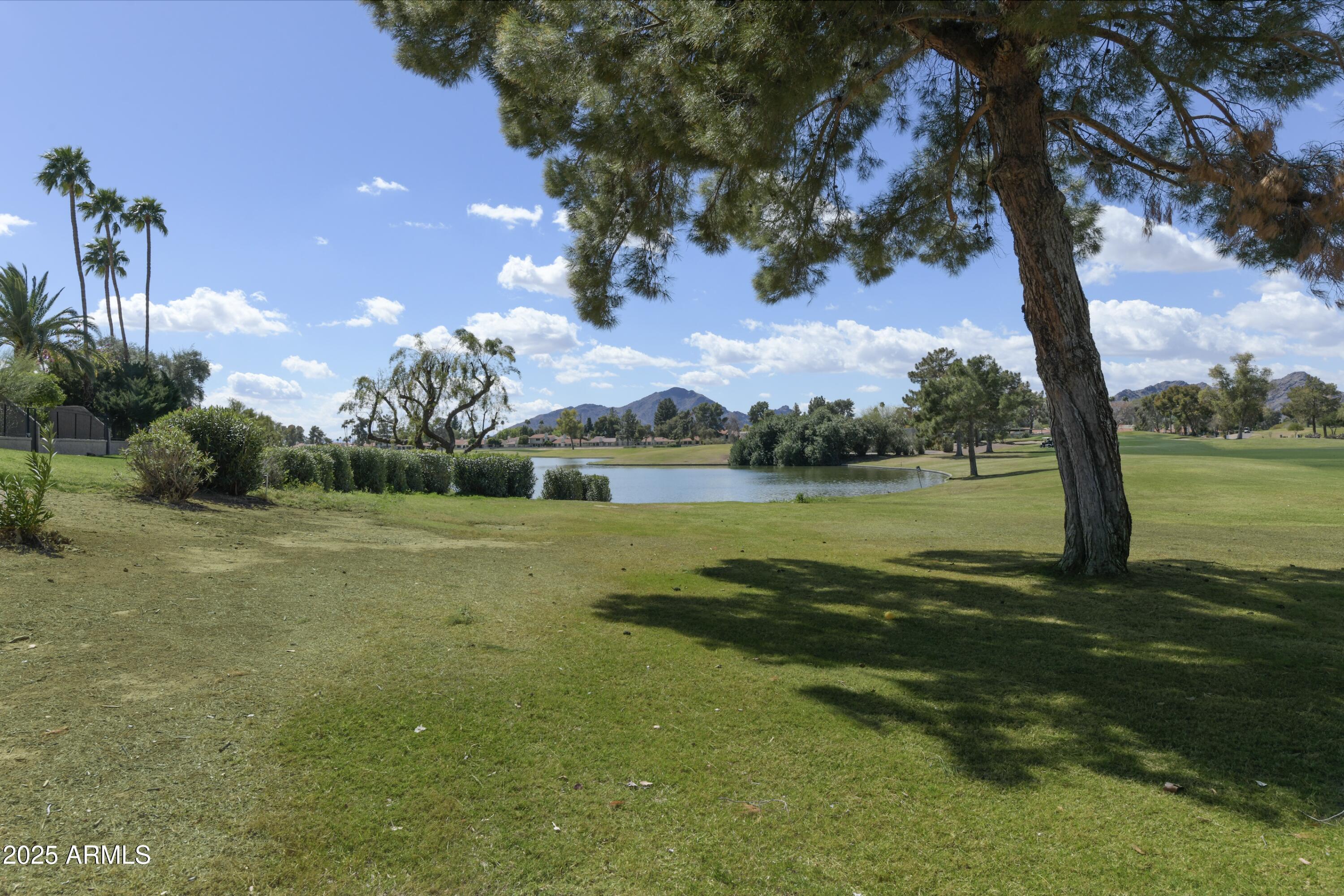 Photo #46