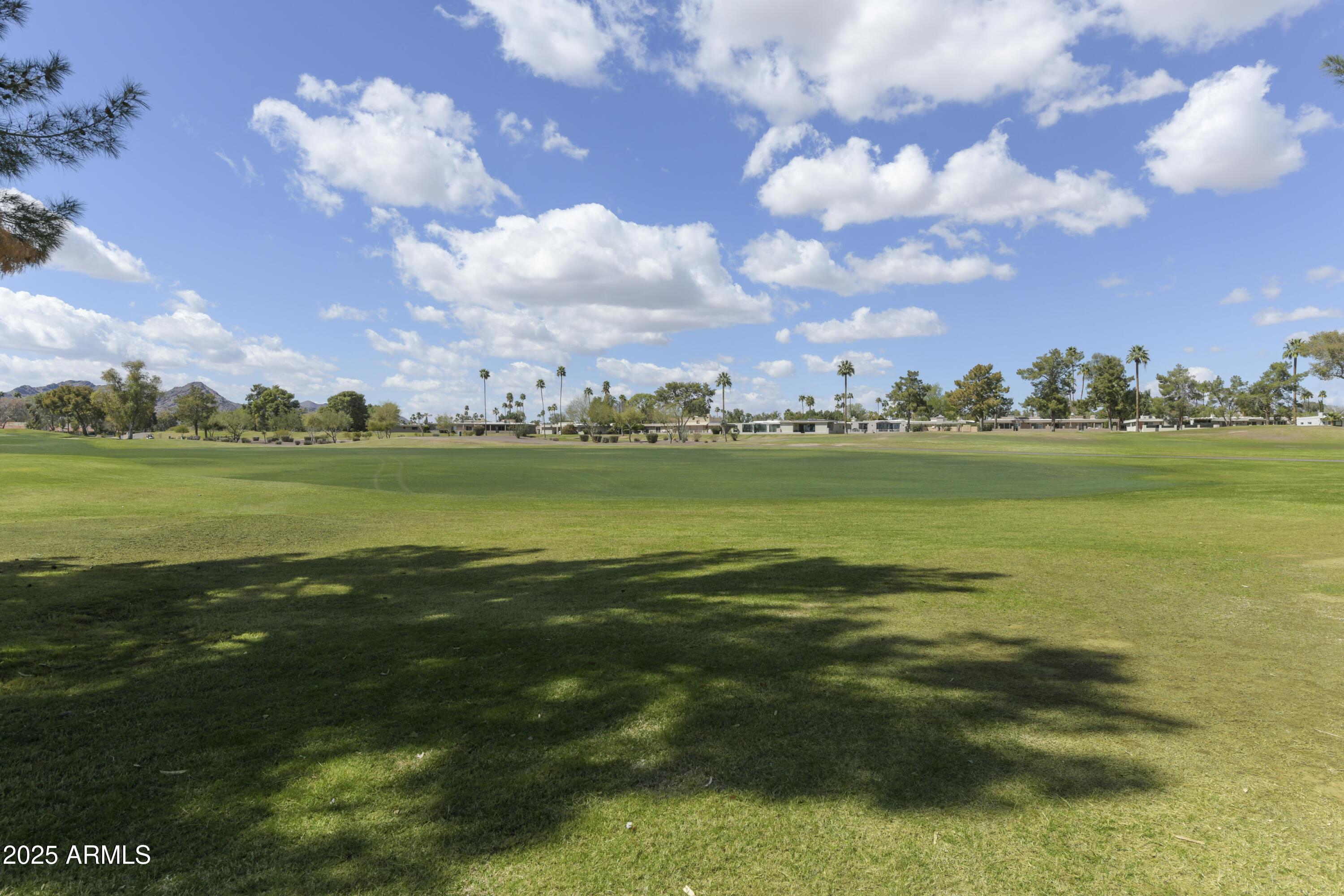 Photo #45