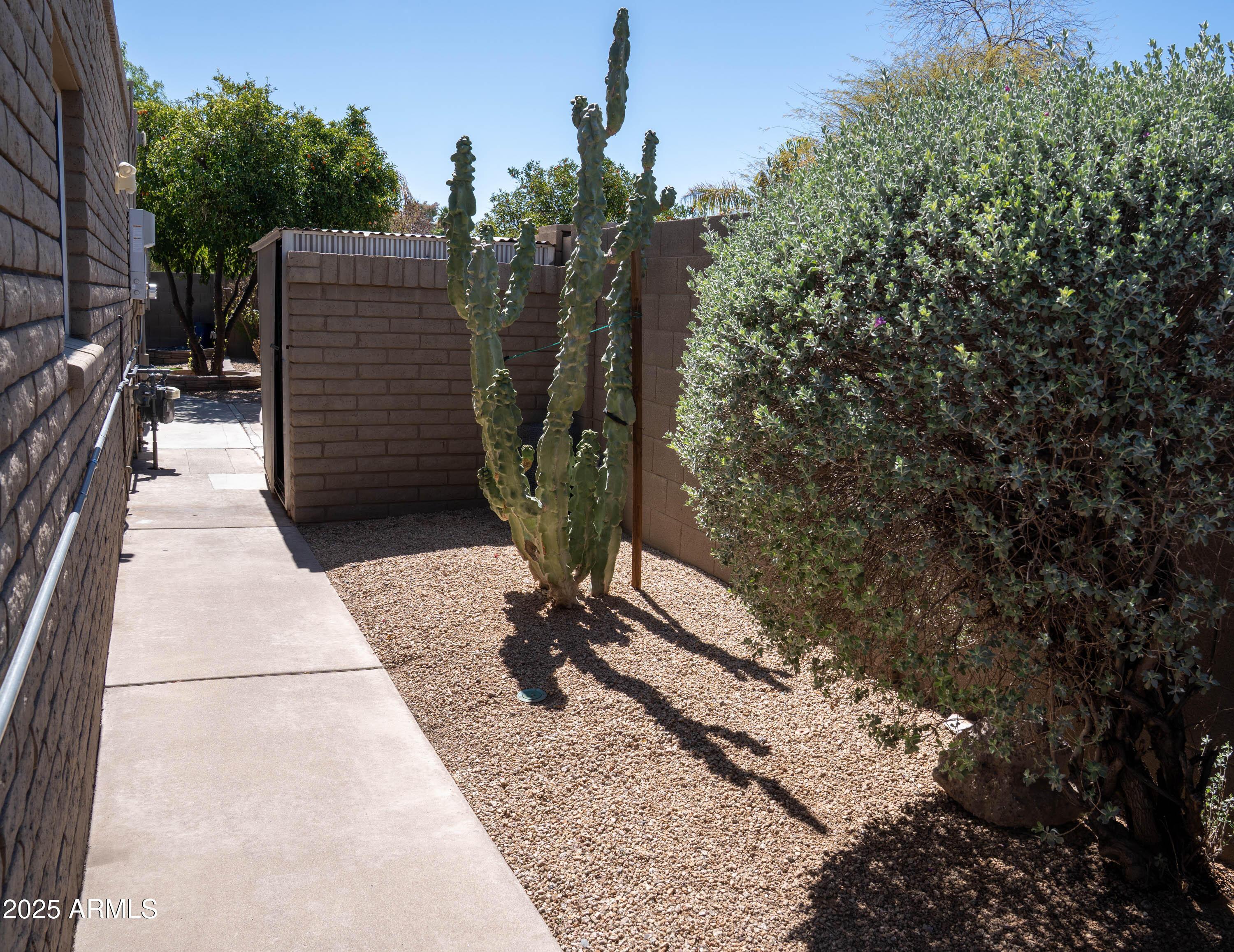 Photo #28