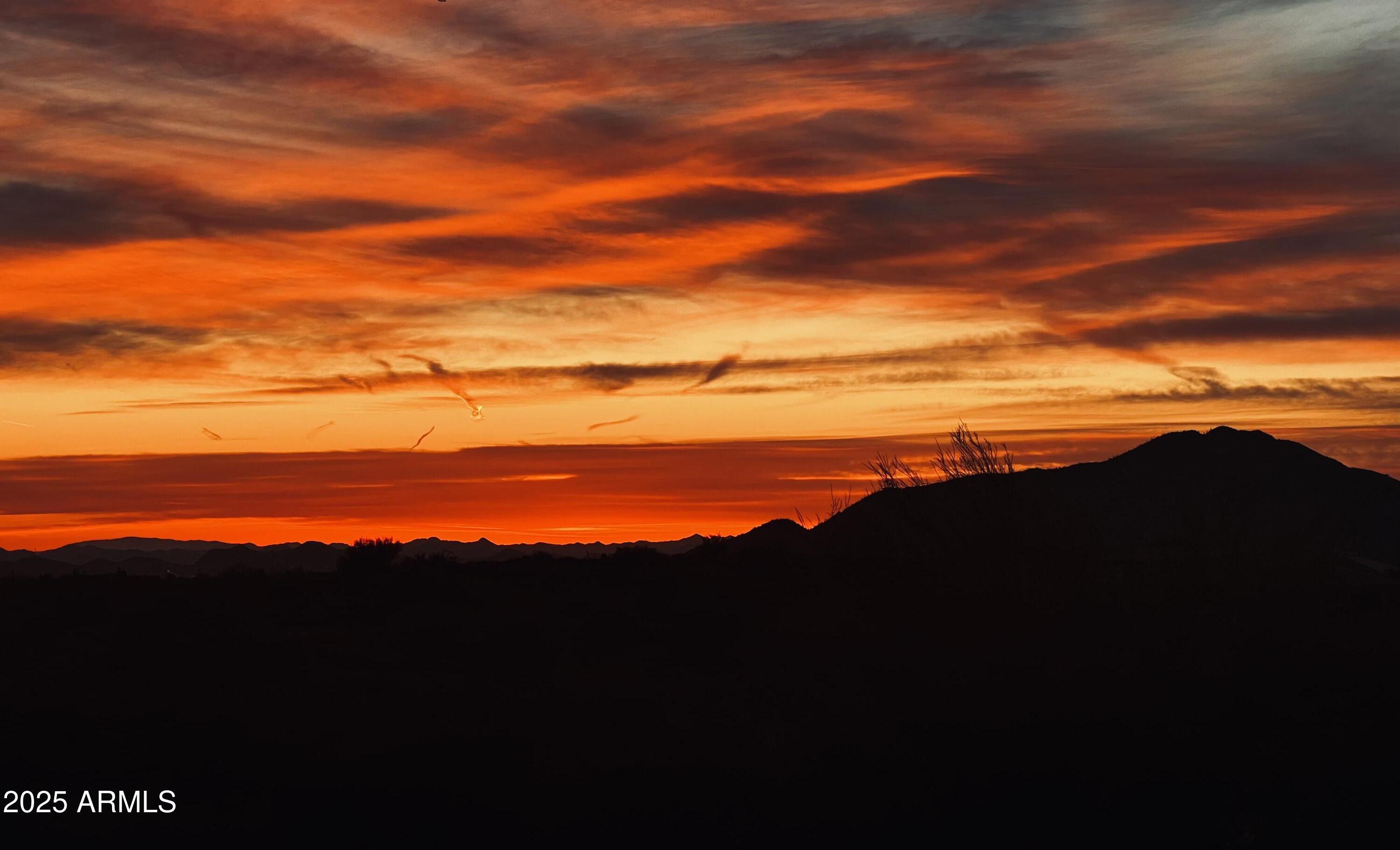Photo #59