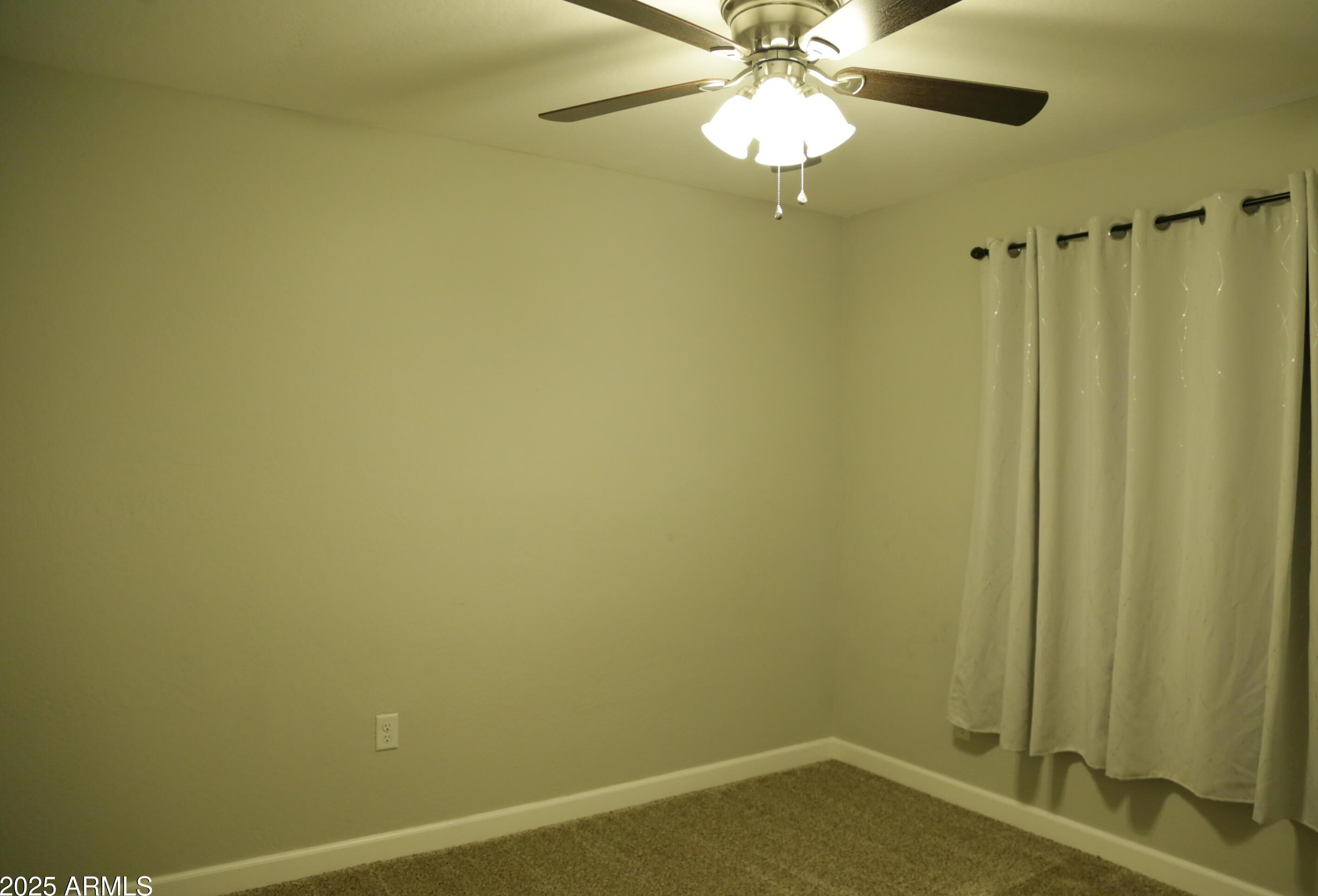 Photo #10