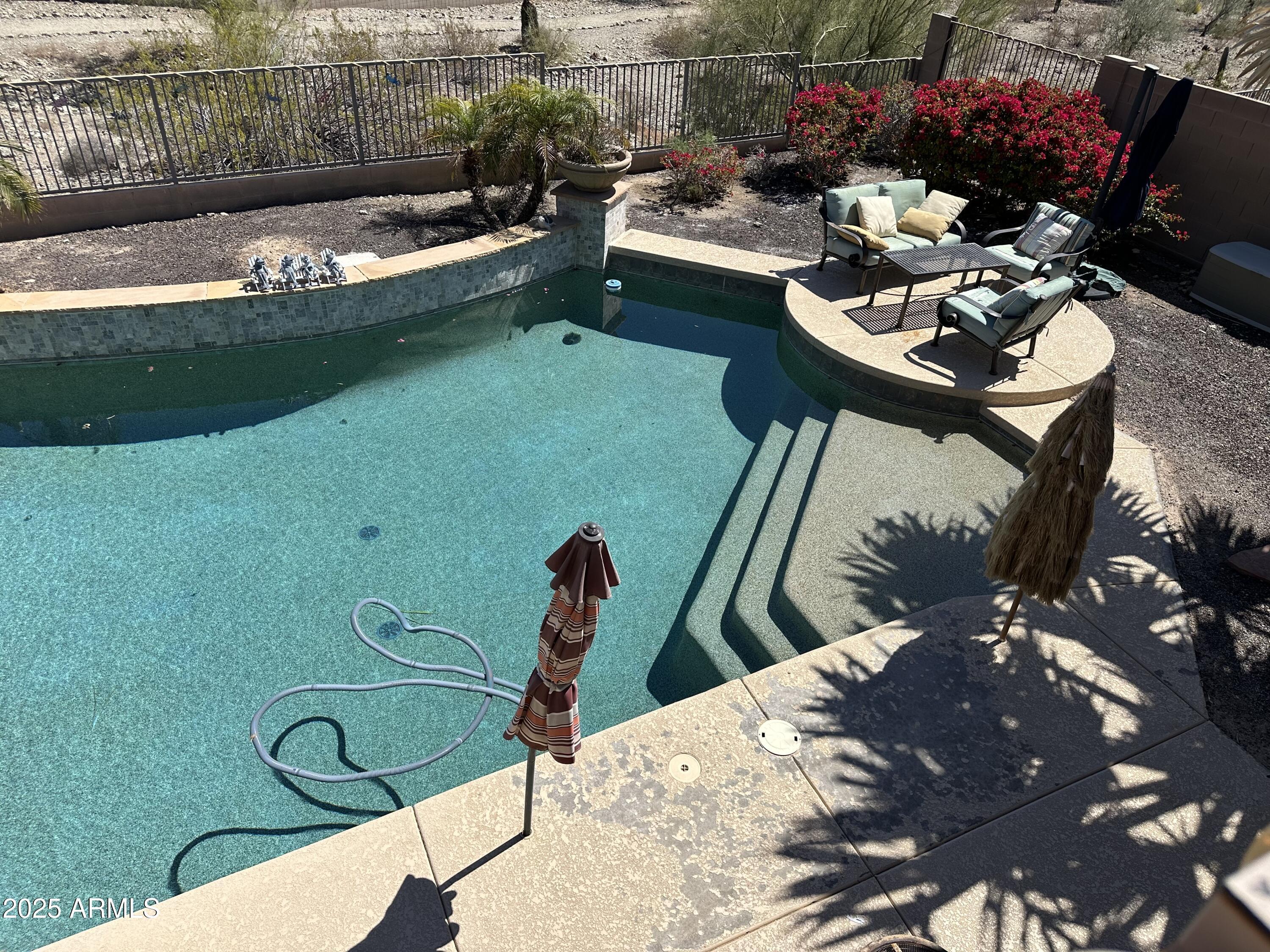 Photo #41