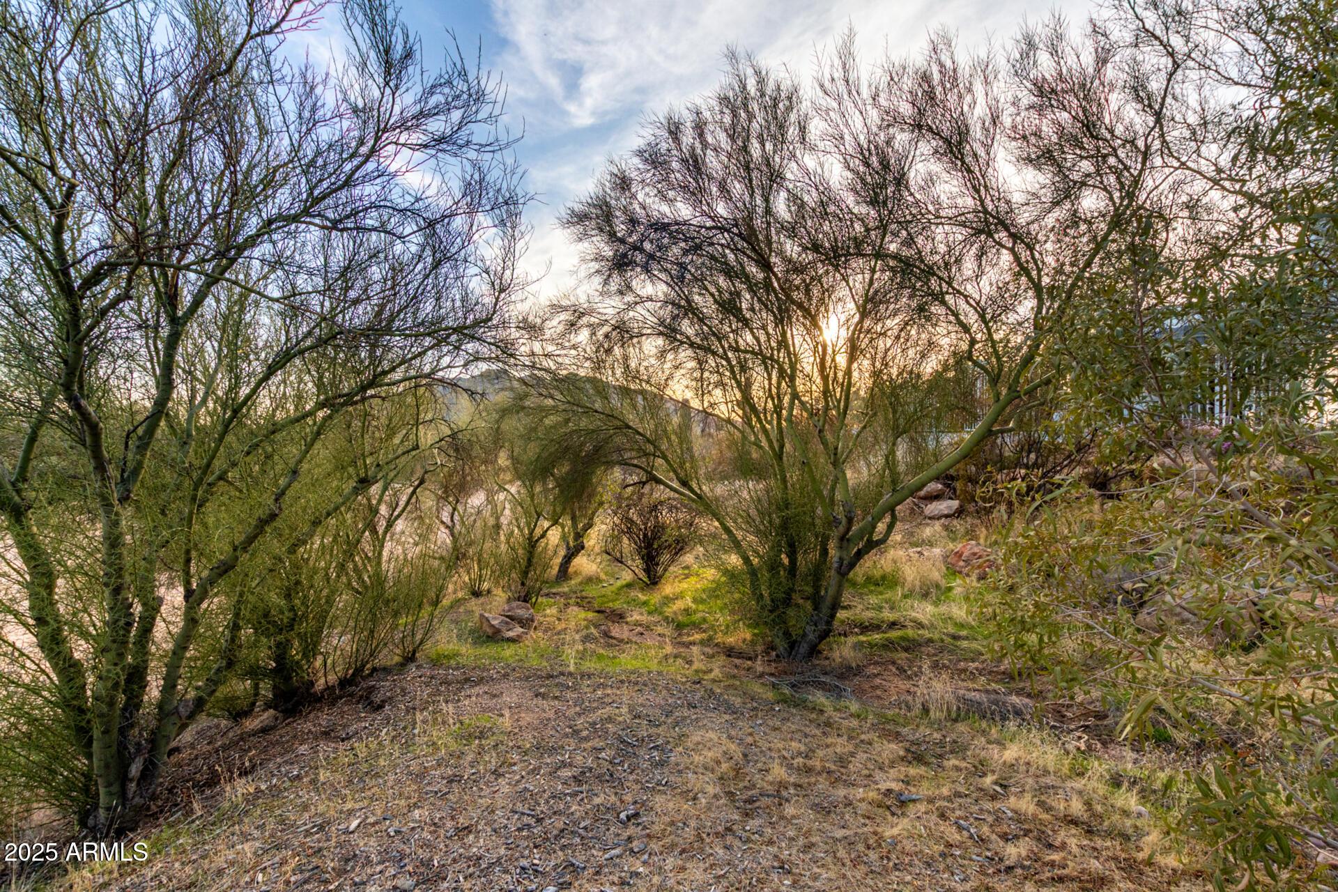 Photo #37