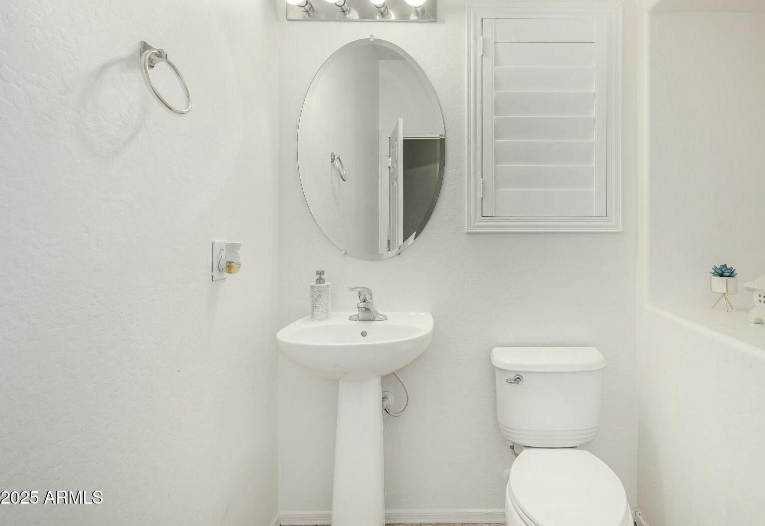 Photo #15
