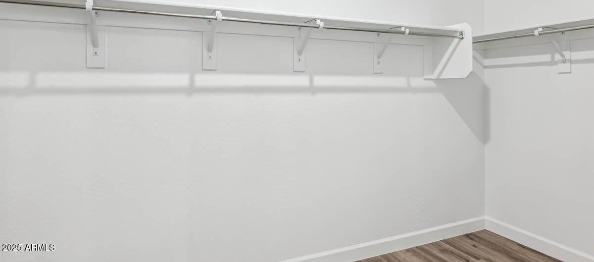 Photo #16