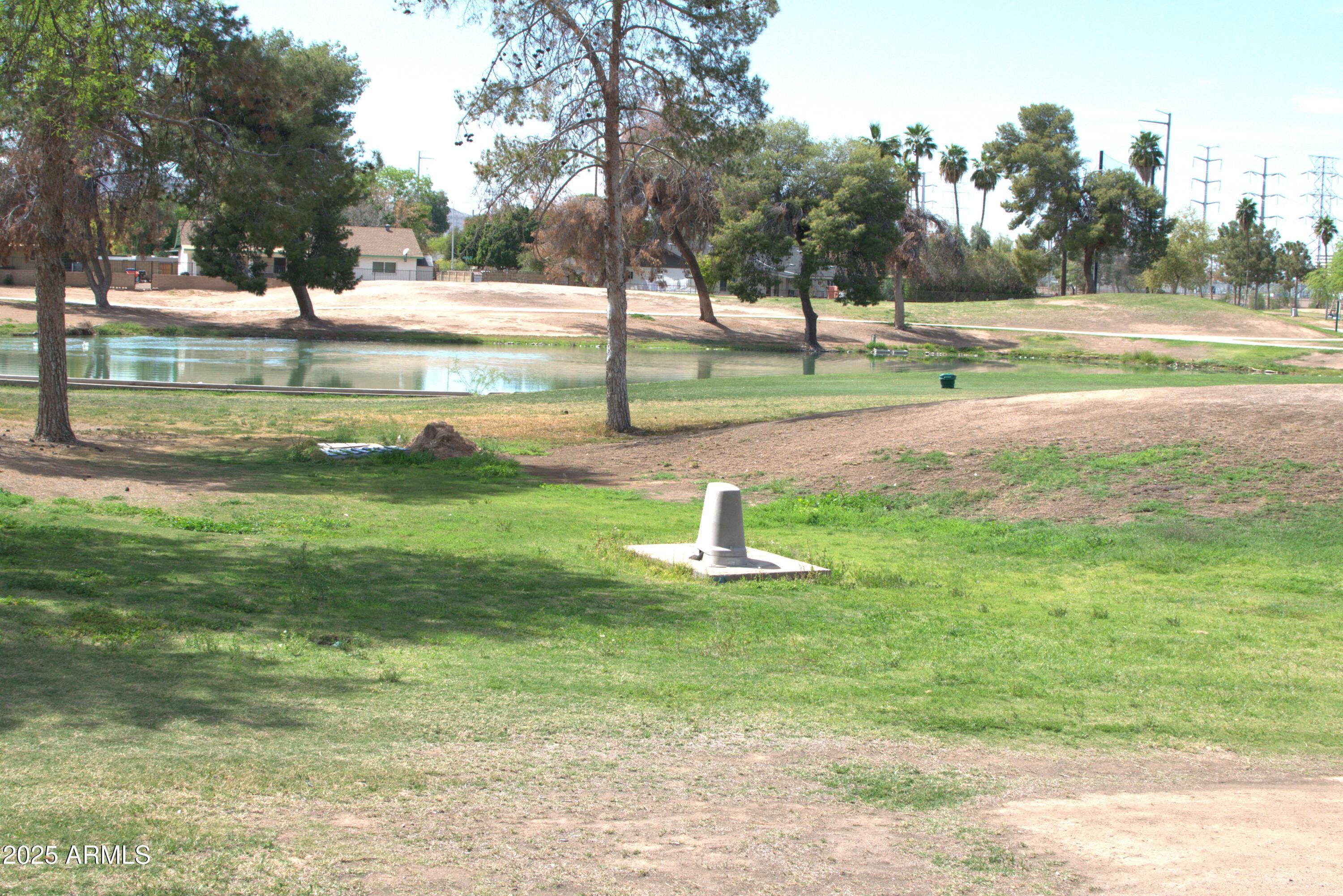 Photo #13