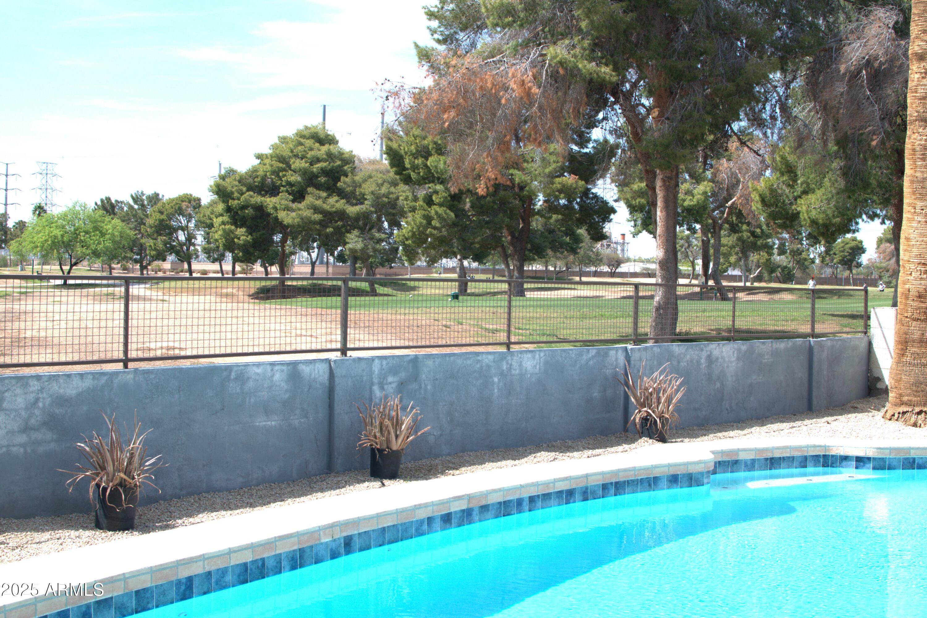 Photo #15