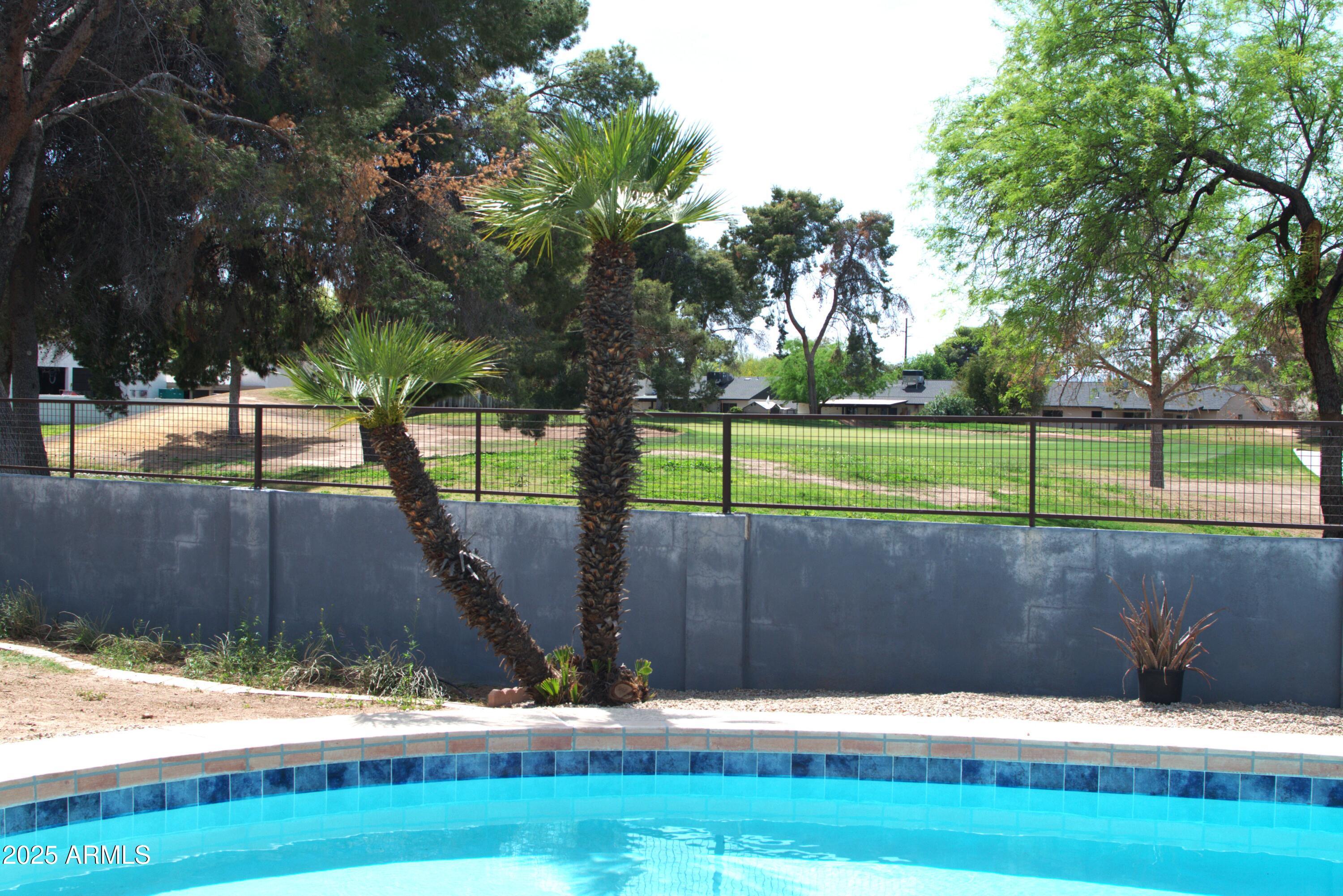 Photo #14