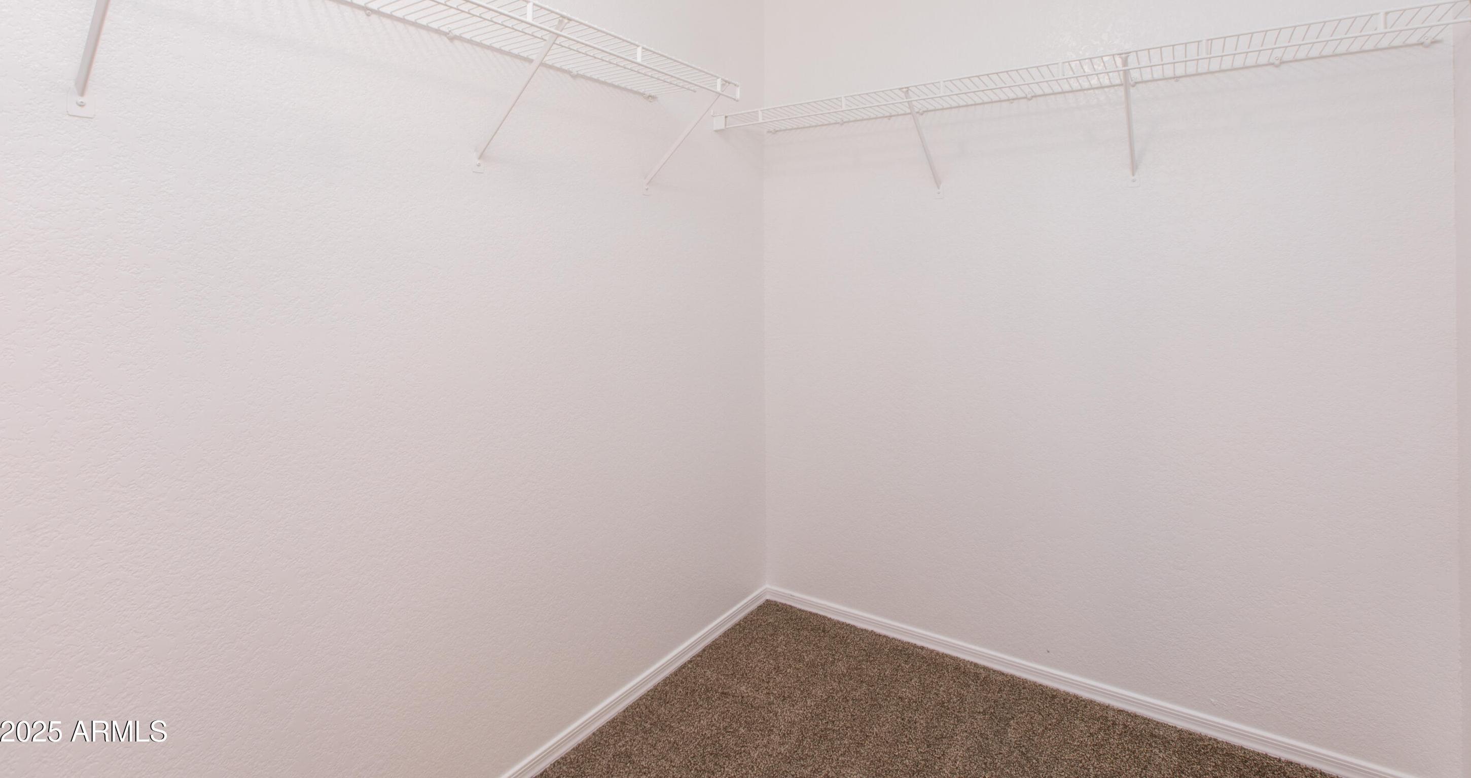 Photo #42