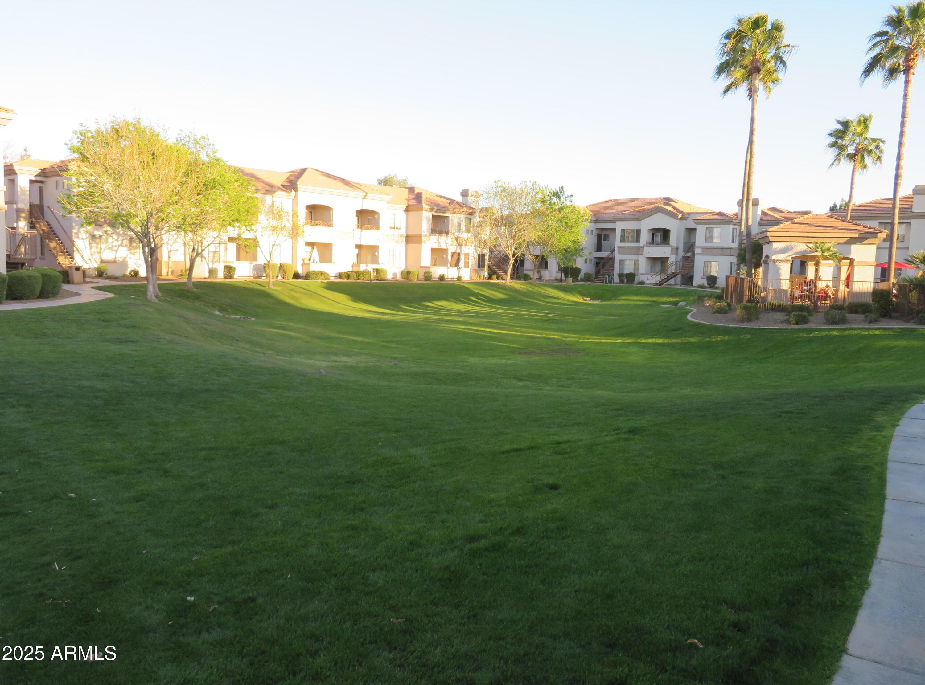 Photo #13