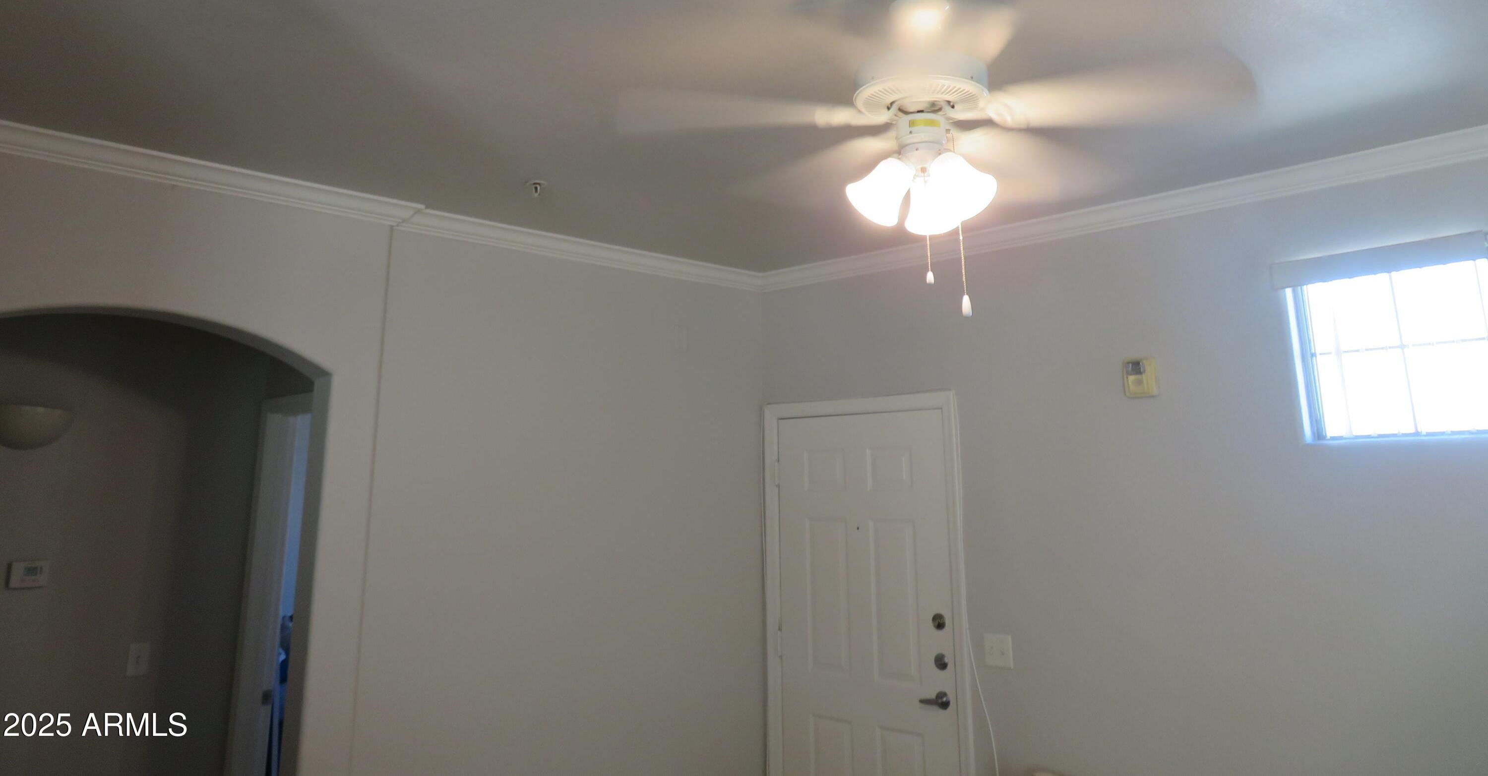 Photo #10
