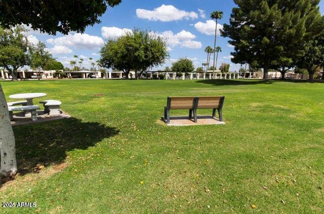 Photo #32