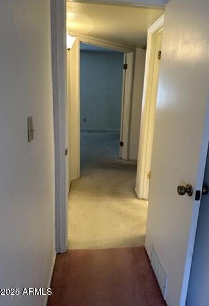 Photo #21