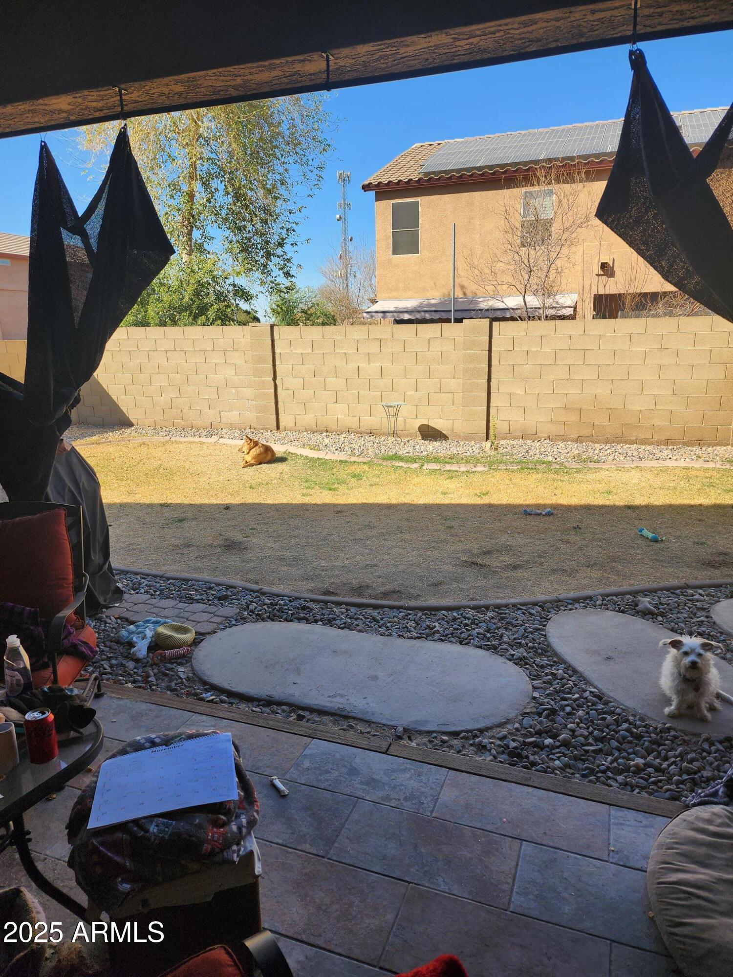 Photo #14