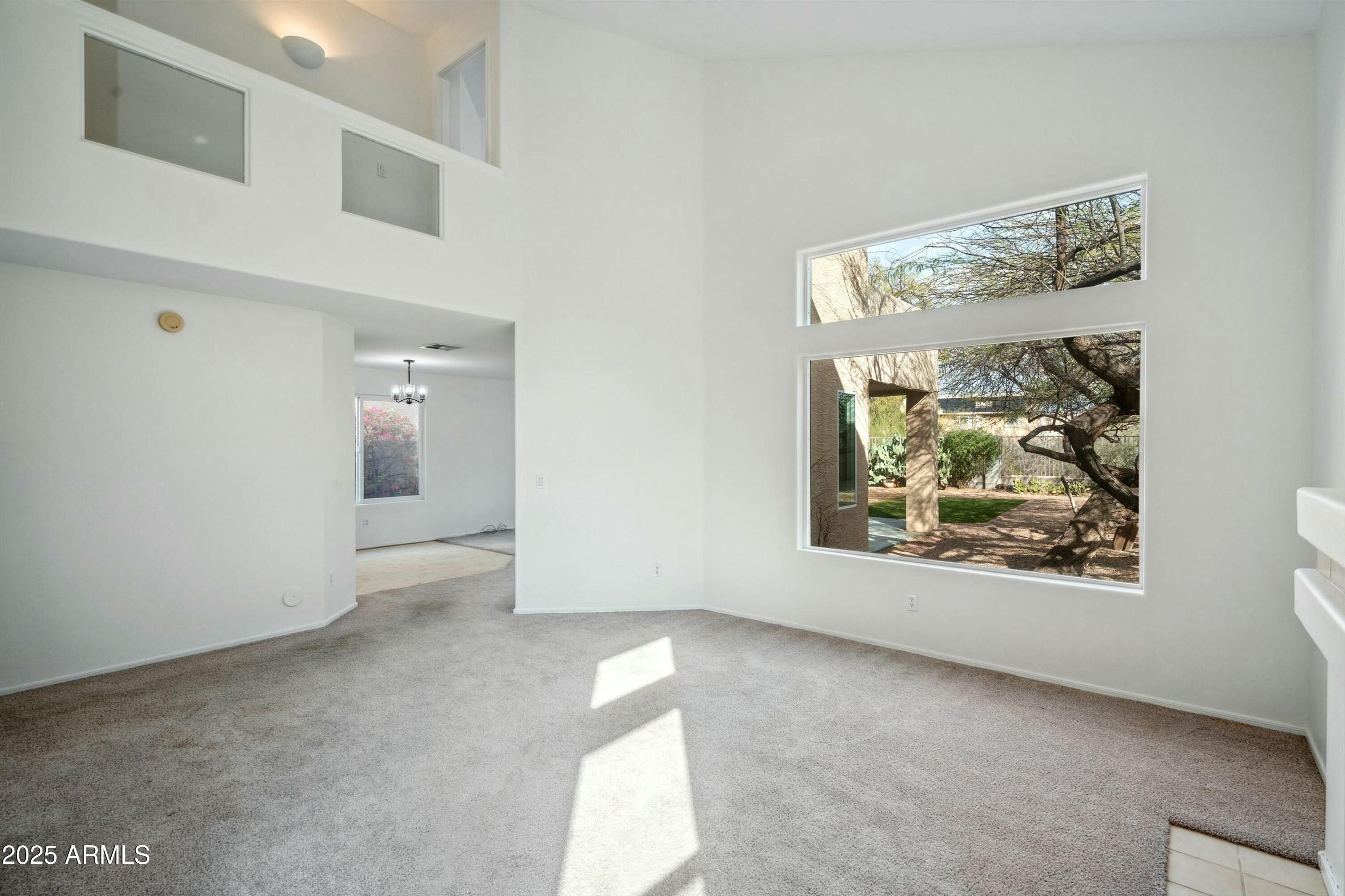 Photo #3