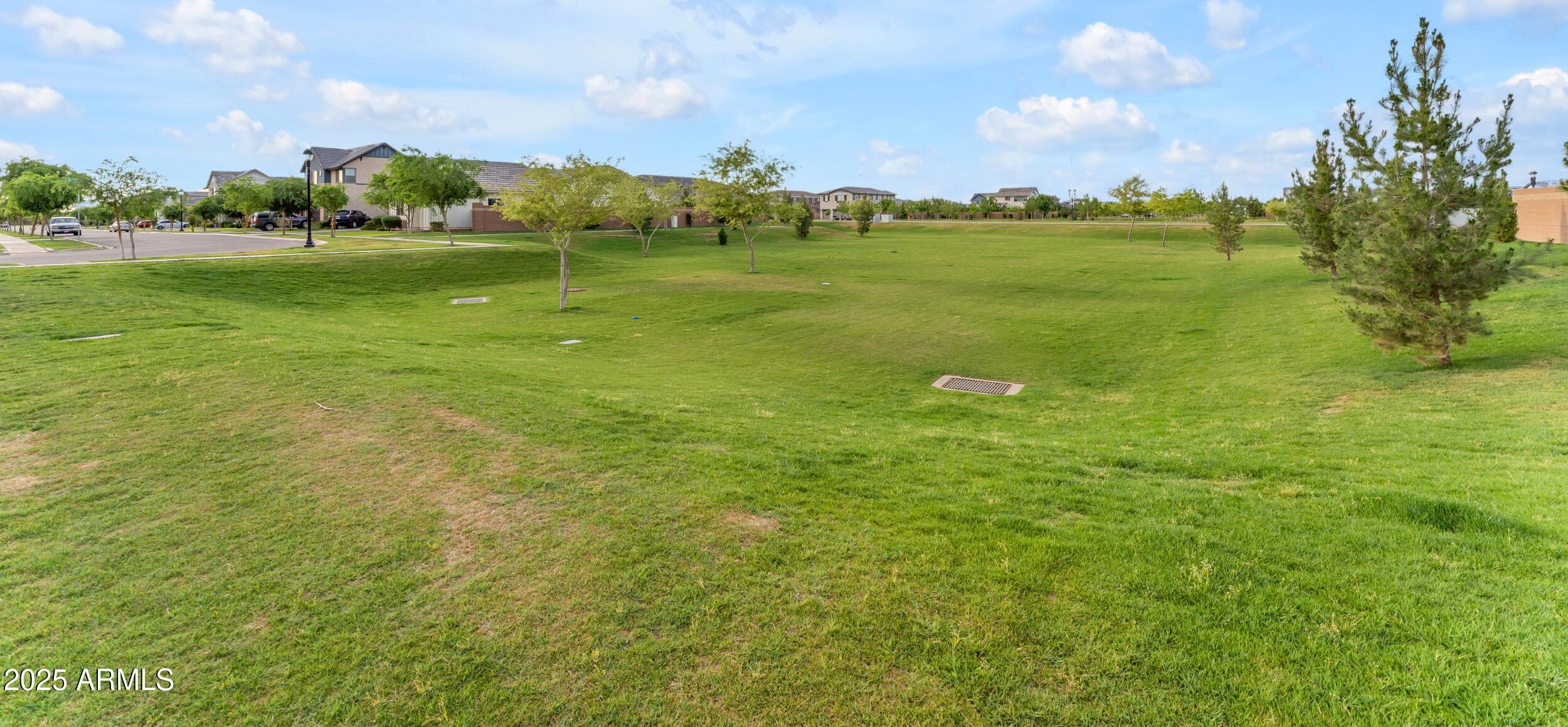 Photo #61