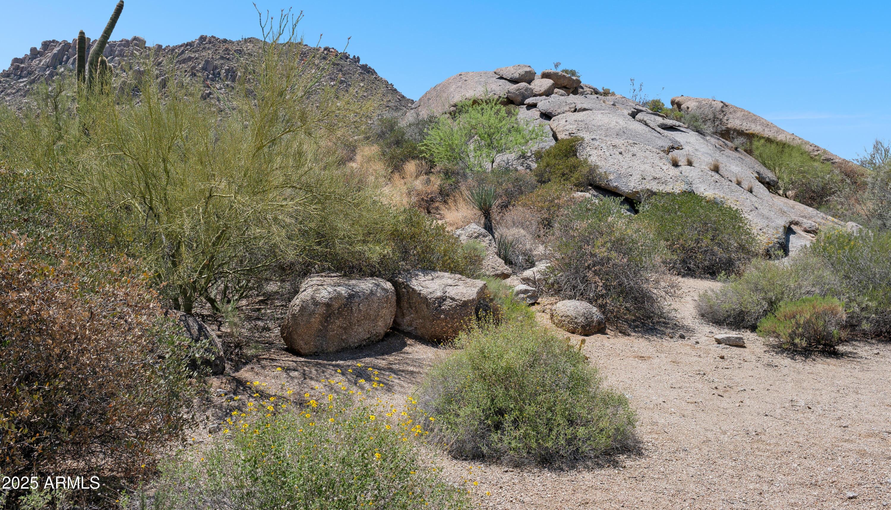 Photo #26