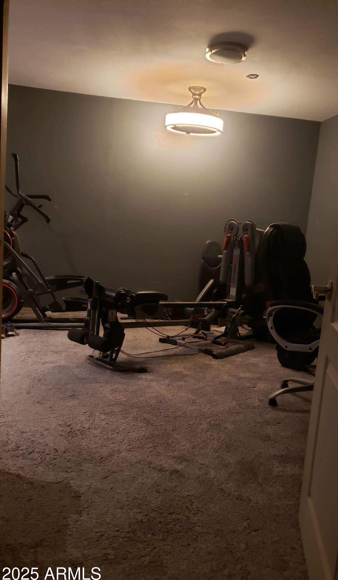 Photo #15