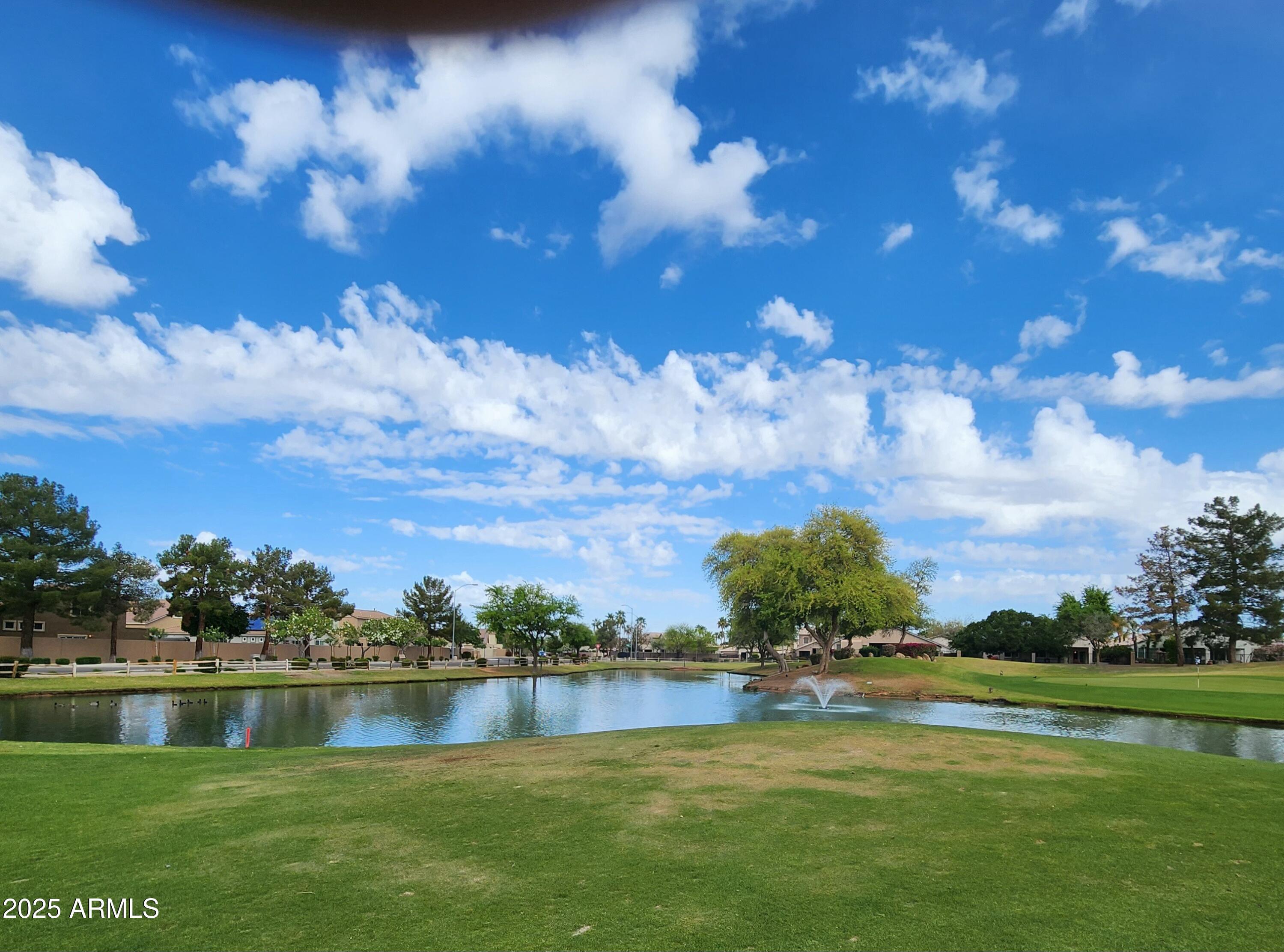 Photo #54