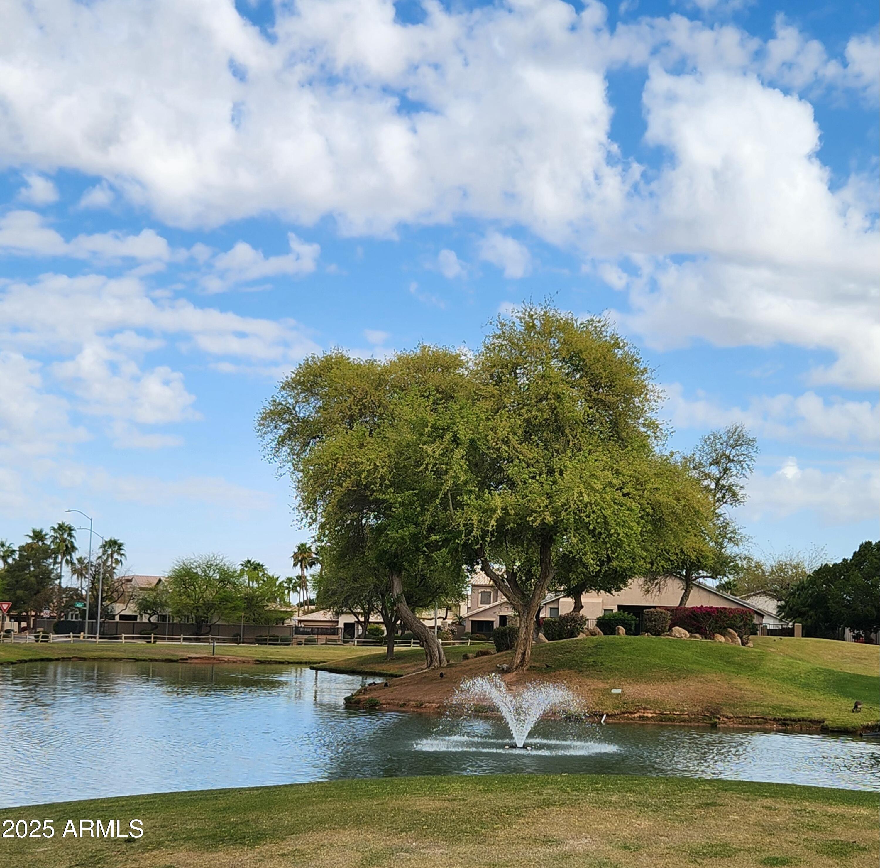 Photo #52
