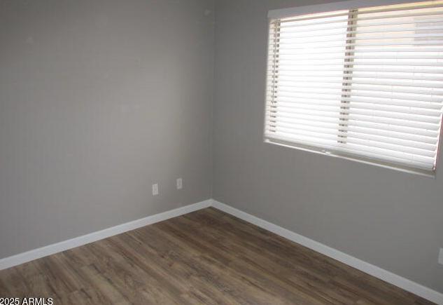 Photo #8