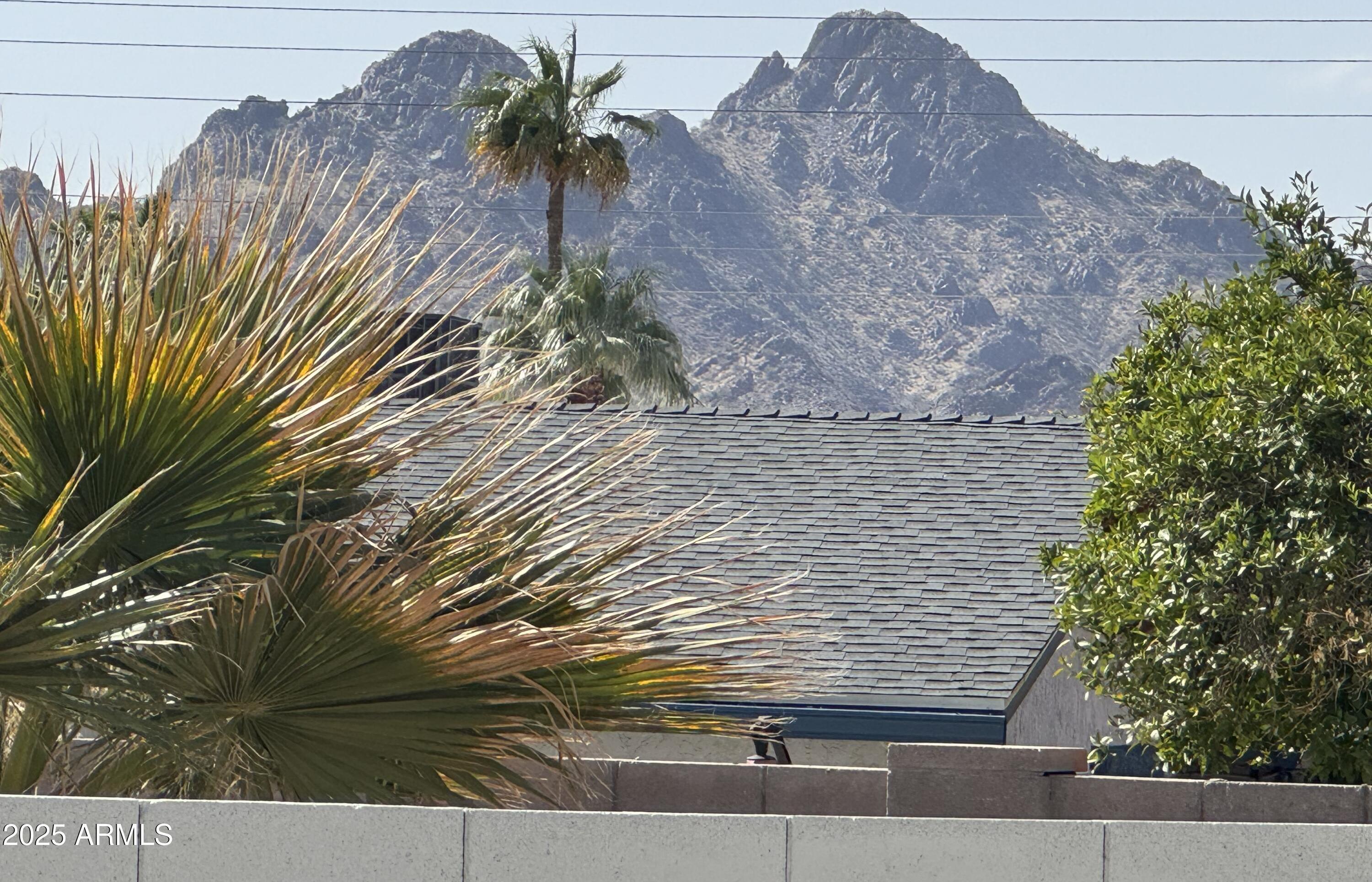 Photo #44
