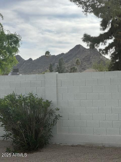 Photo #43