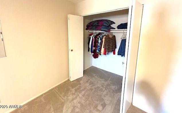 Photo #18