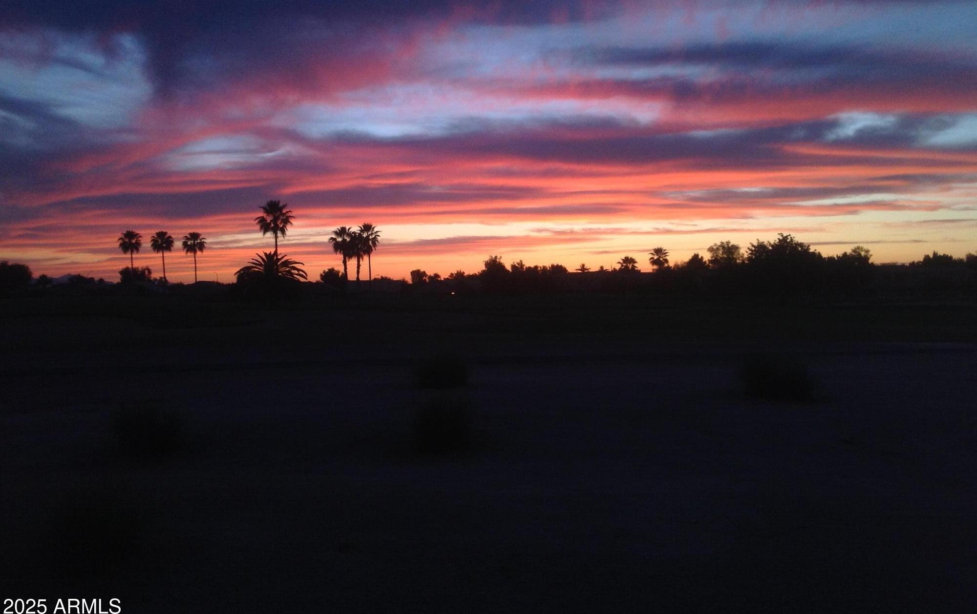 Photo #45
