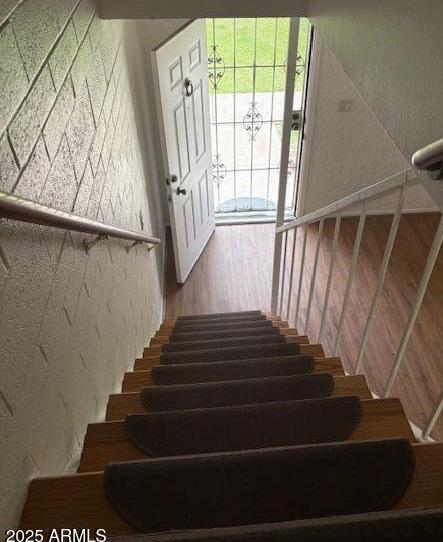 Photo #18