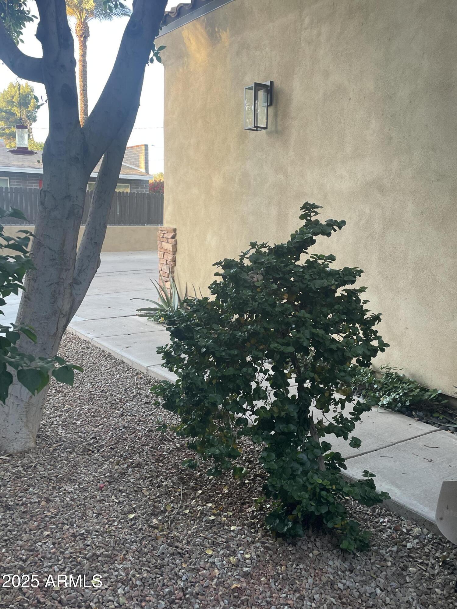 Photo #42