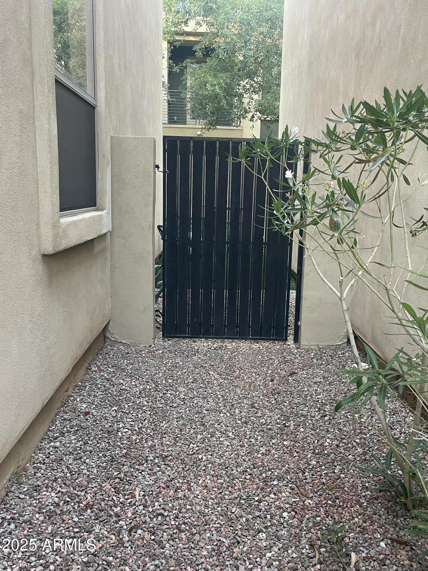 Photo #41