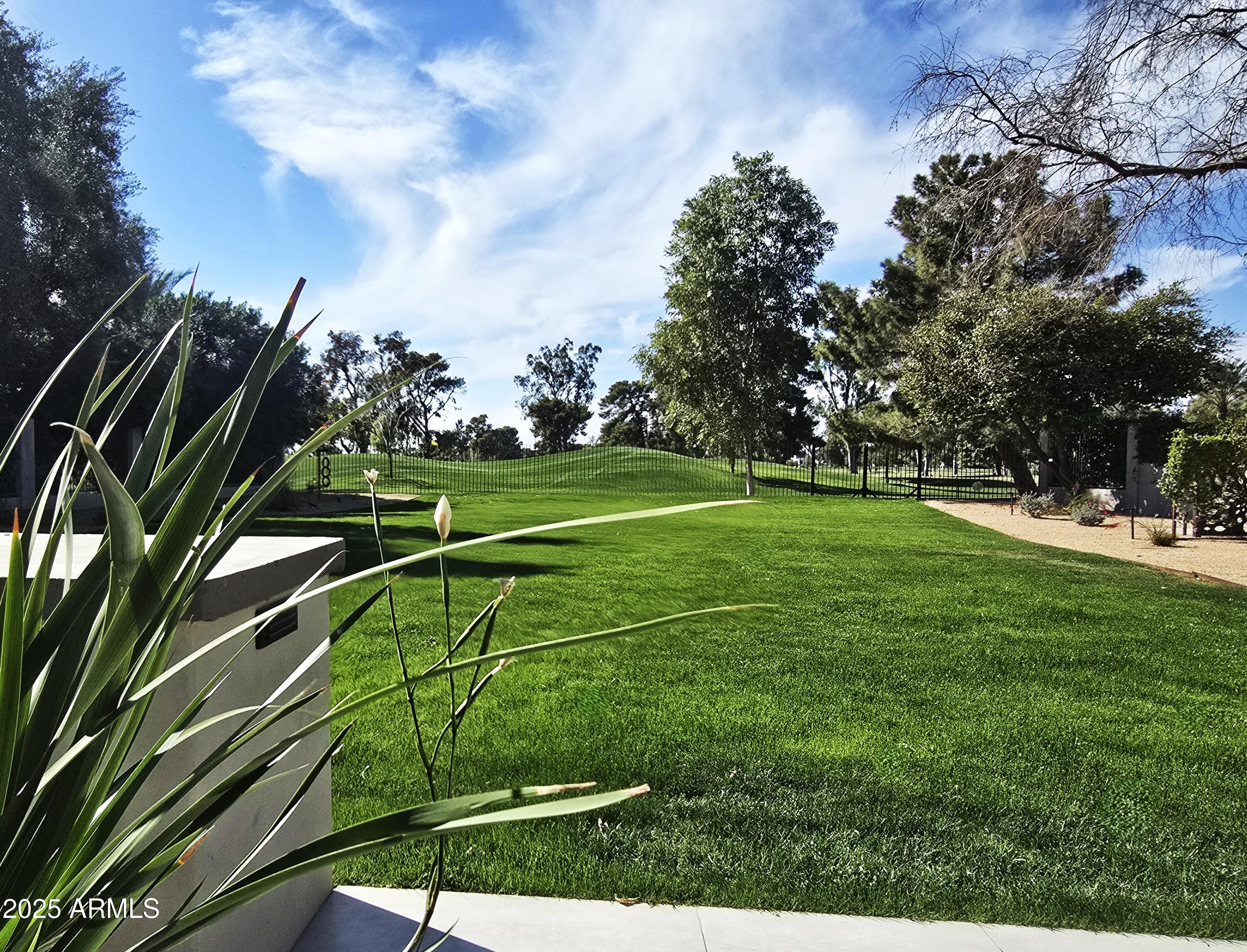 Photo #46