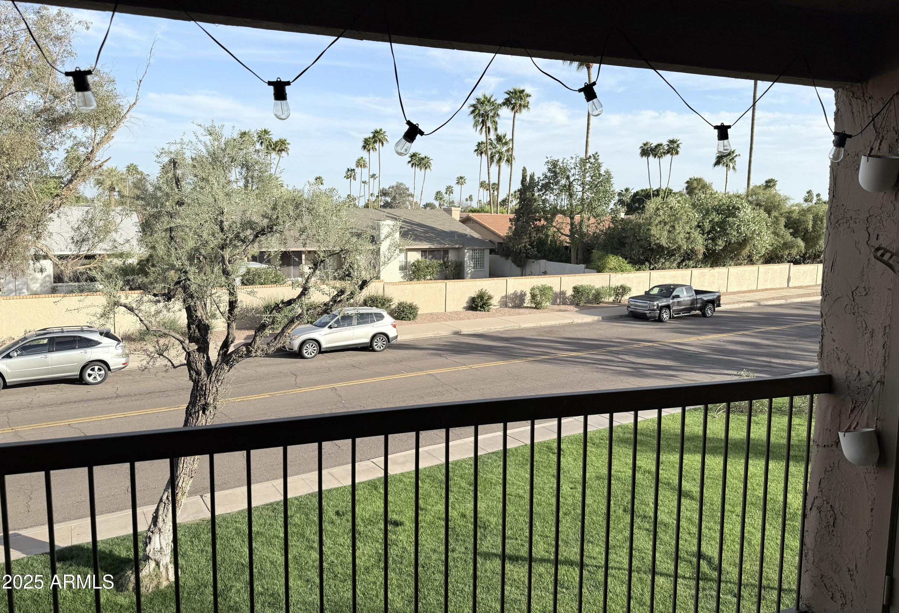 Photo #20
