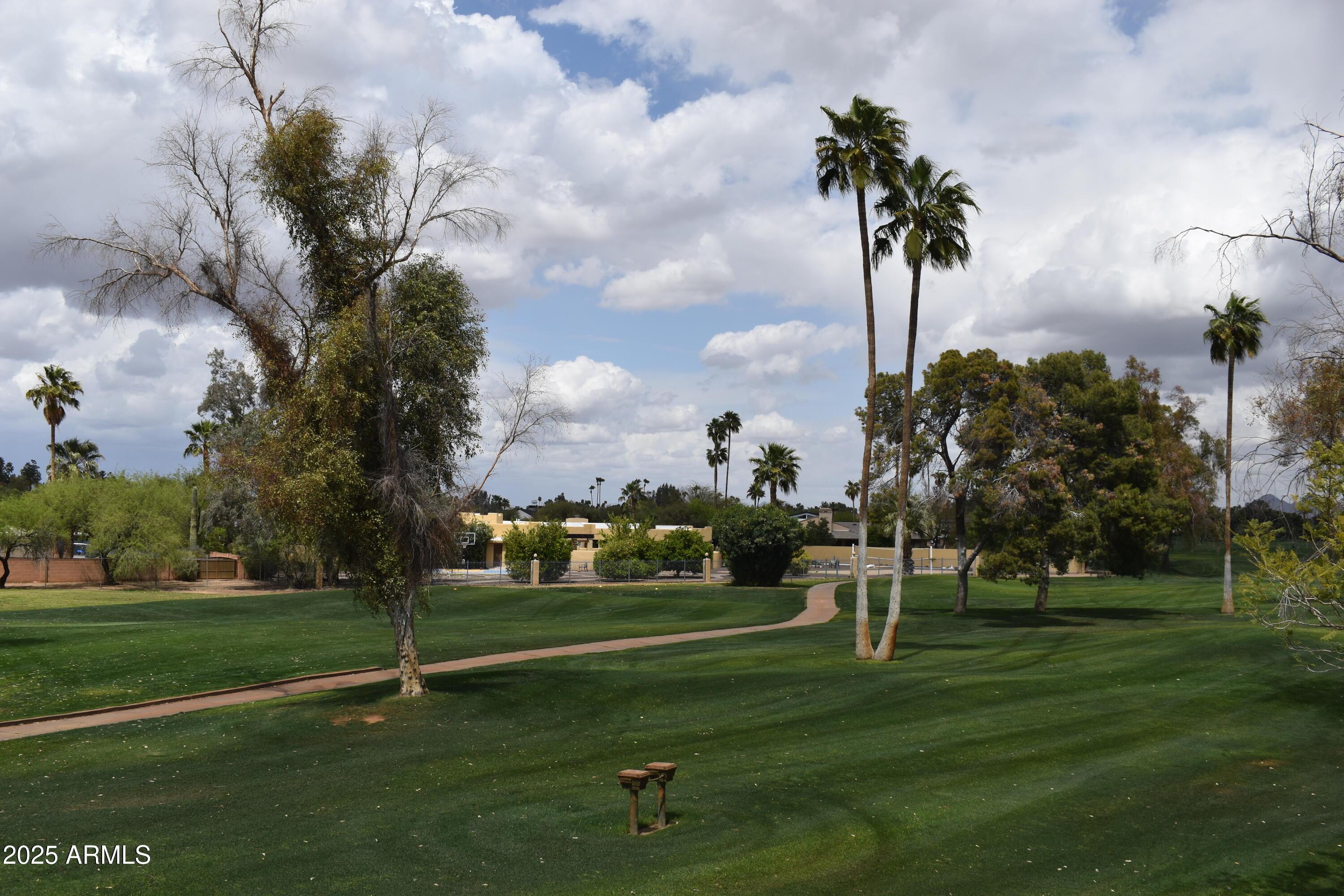 Photo #21