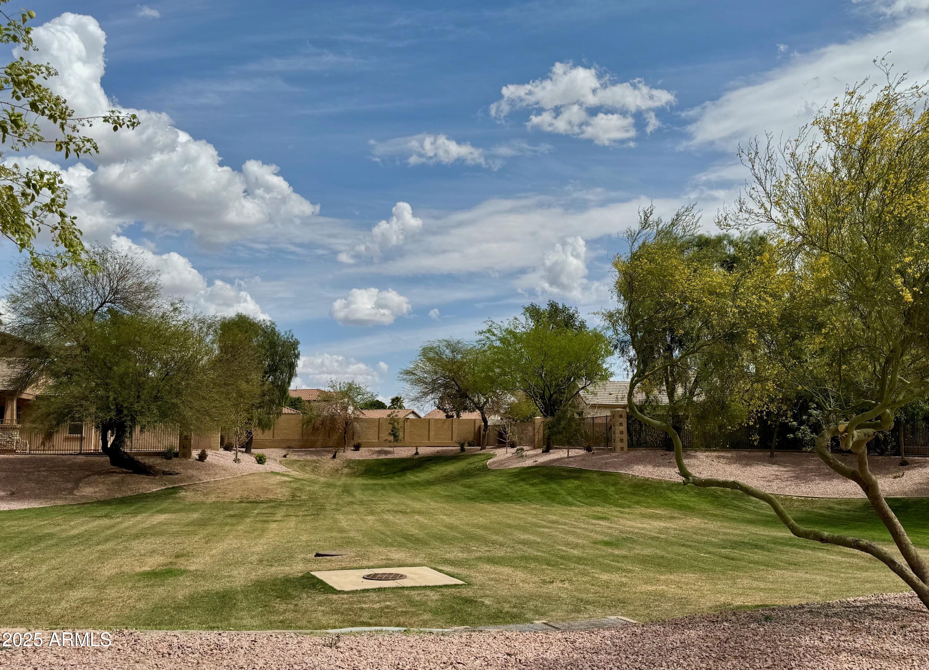 Photo #37